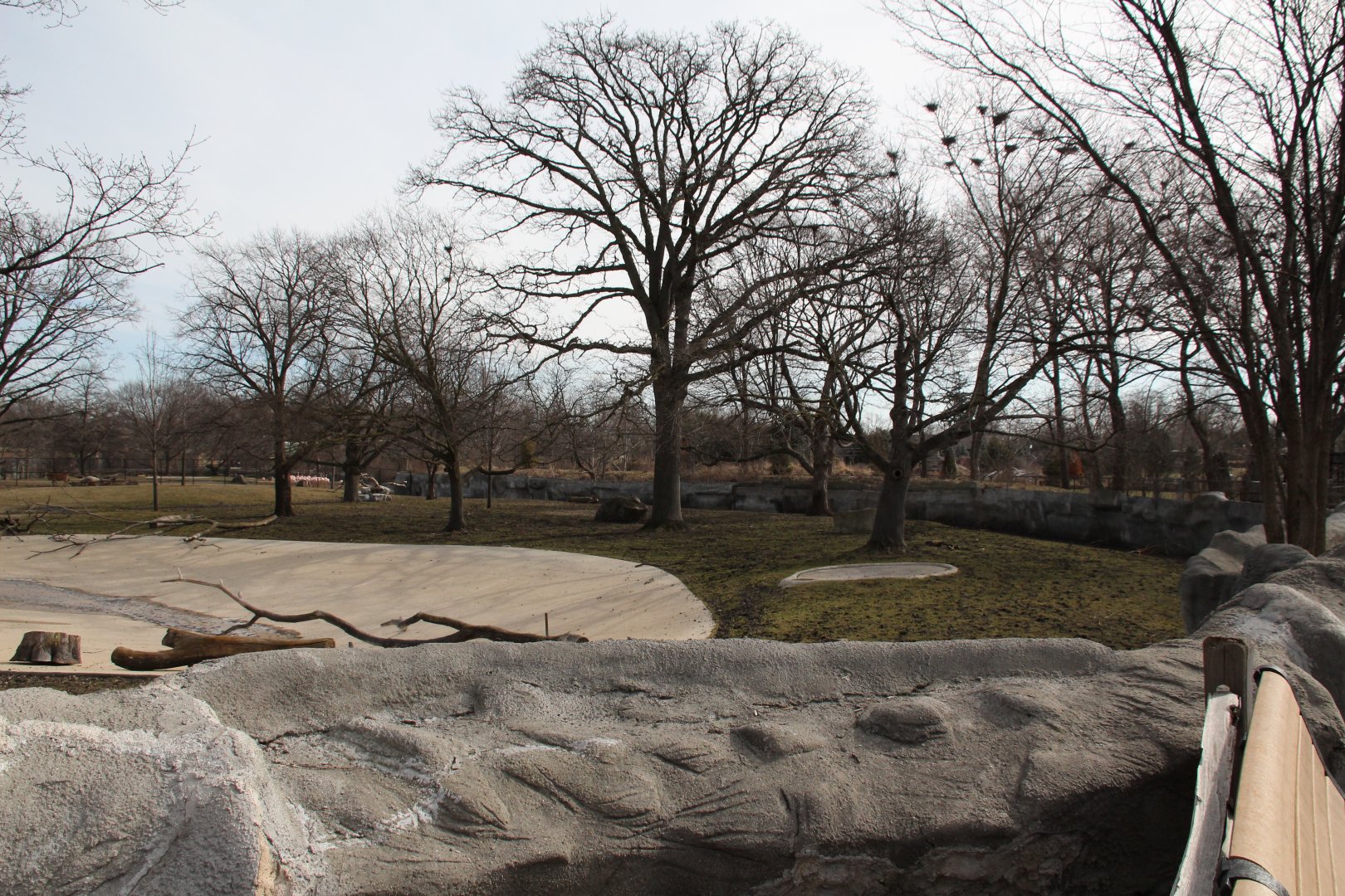 Detroit Zoo - African Grassland