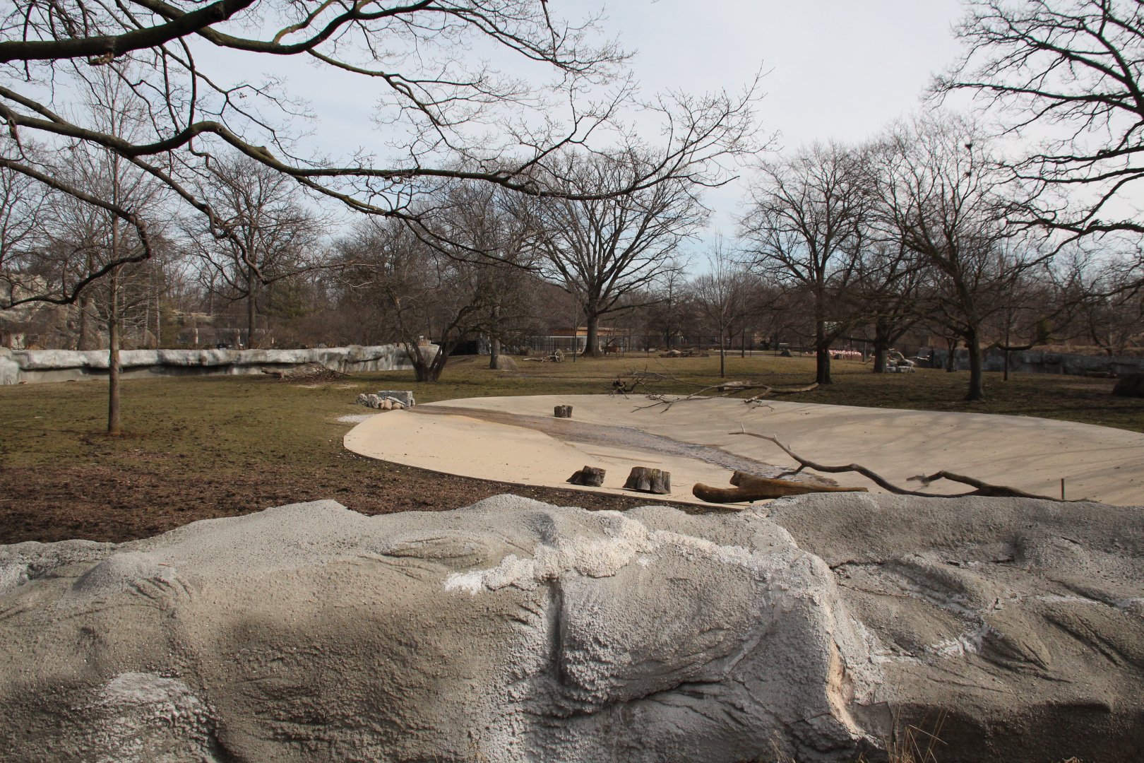 Detroit Zoo - African Grassland