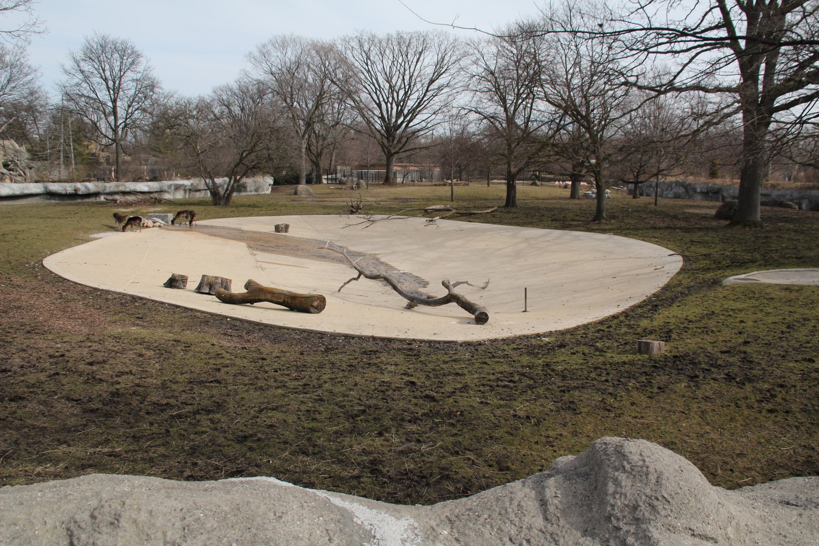 Detroit Zoo - African Grassland