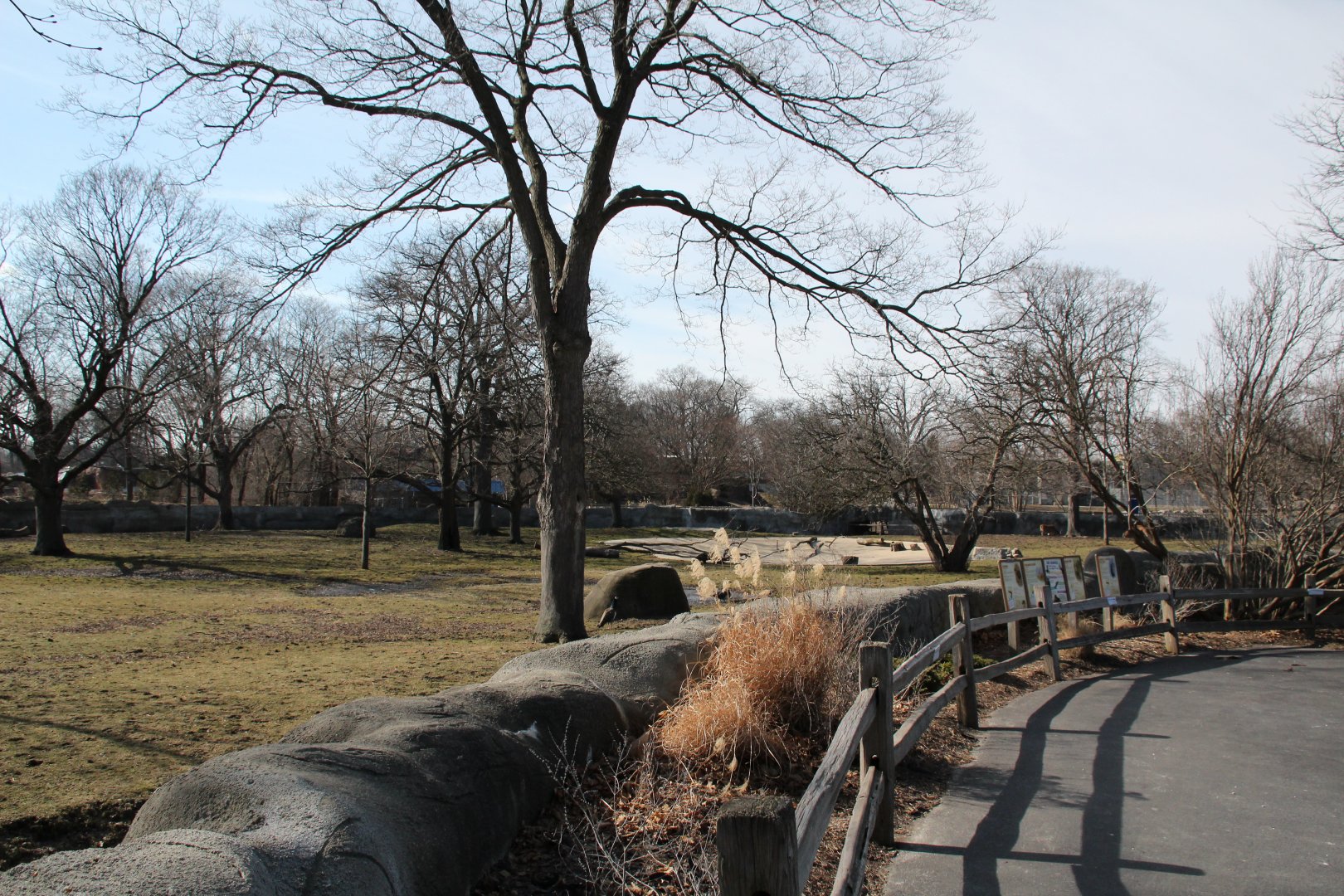Detroit Zoo - African Grasslands