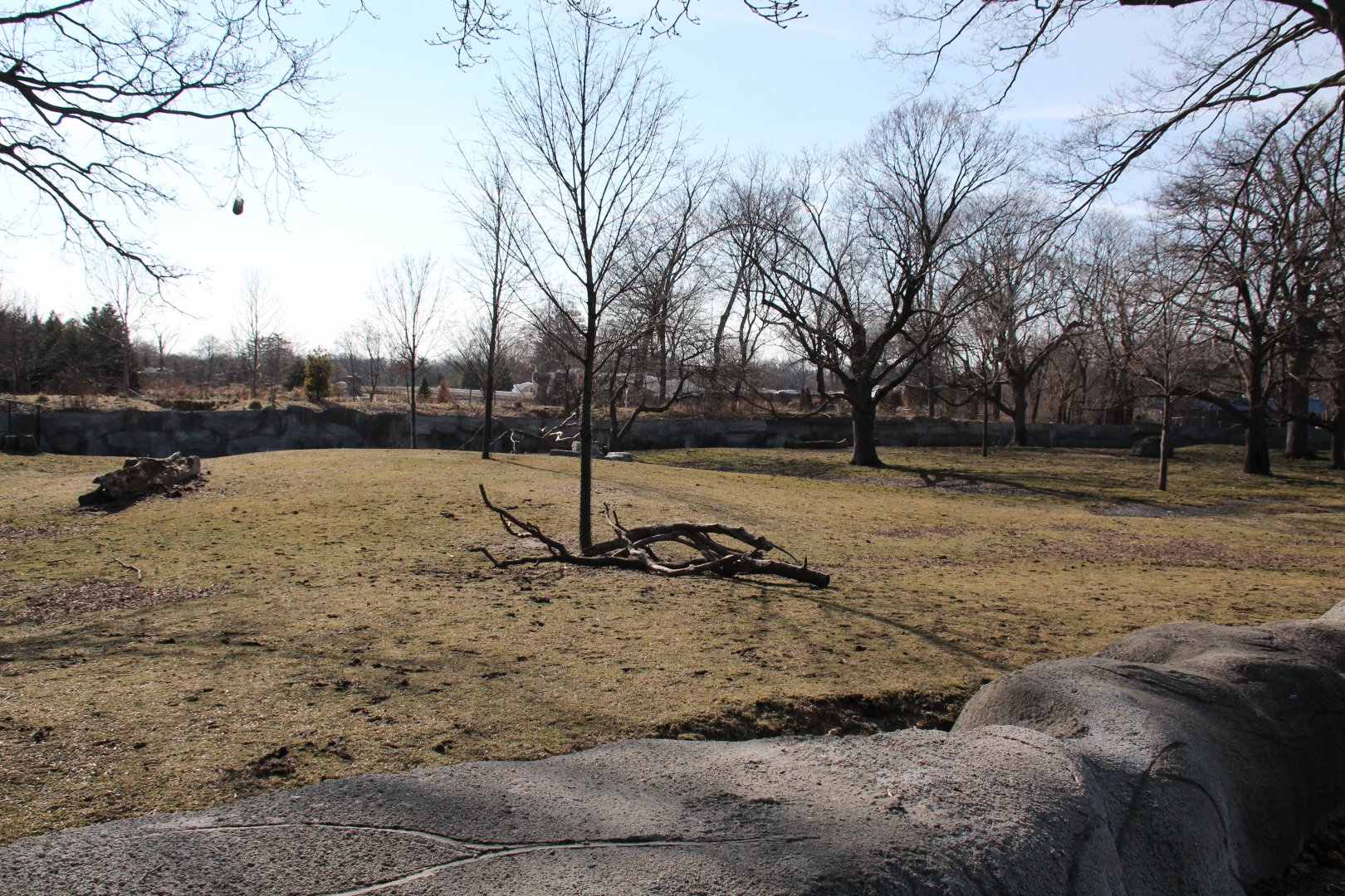 Detroit Zoo - African Grasslands