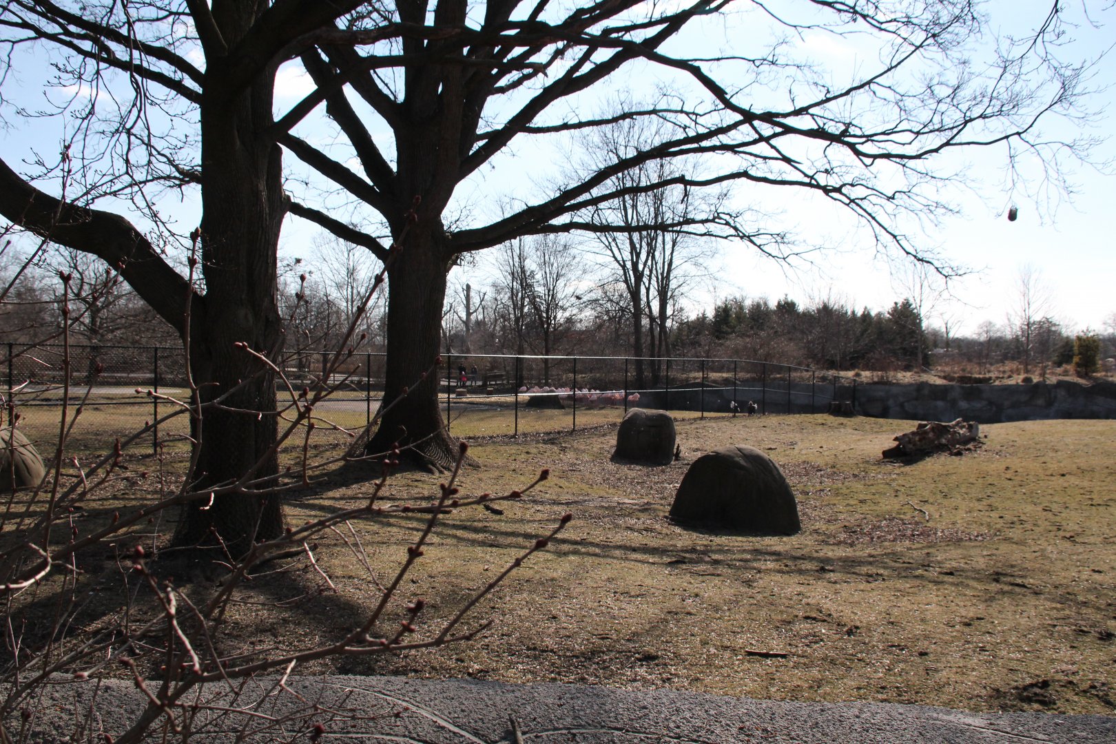 Detroit Zoo - African Grasslands