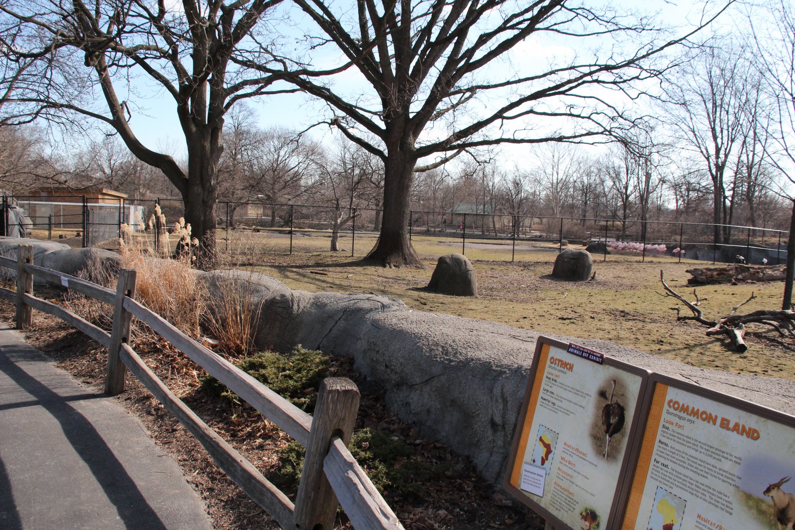 Detroit Zoo - African Grasslands