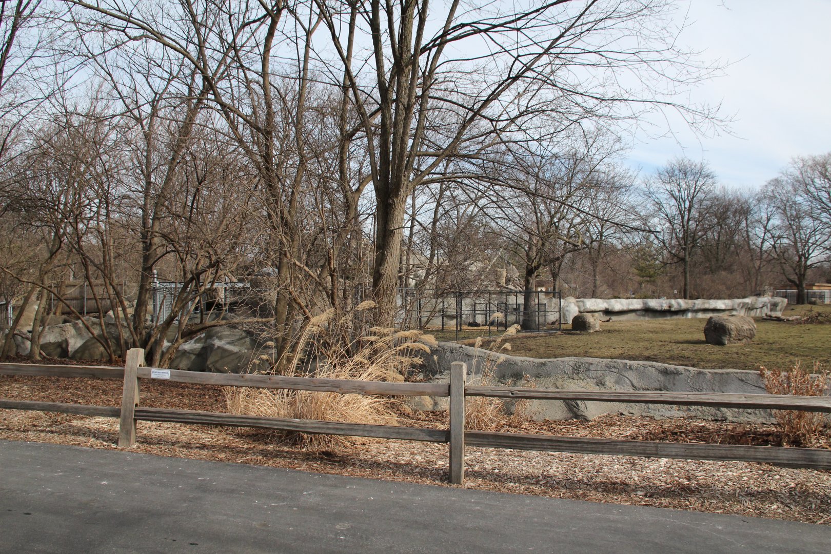 Detroit Zoo - African Grasslands