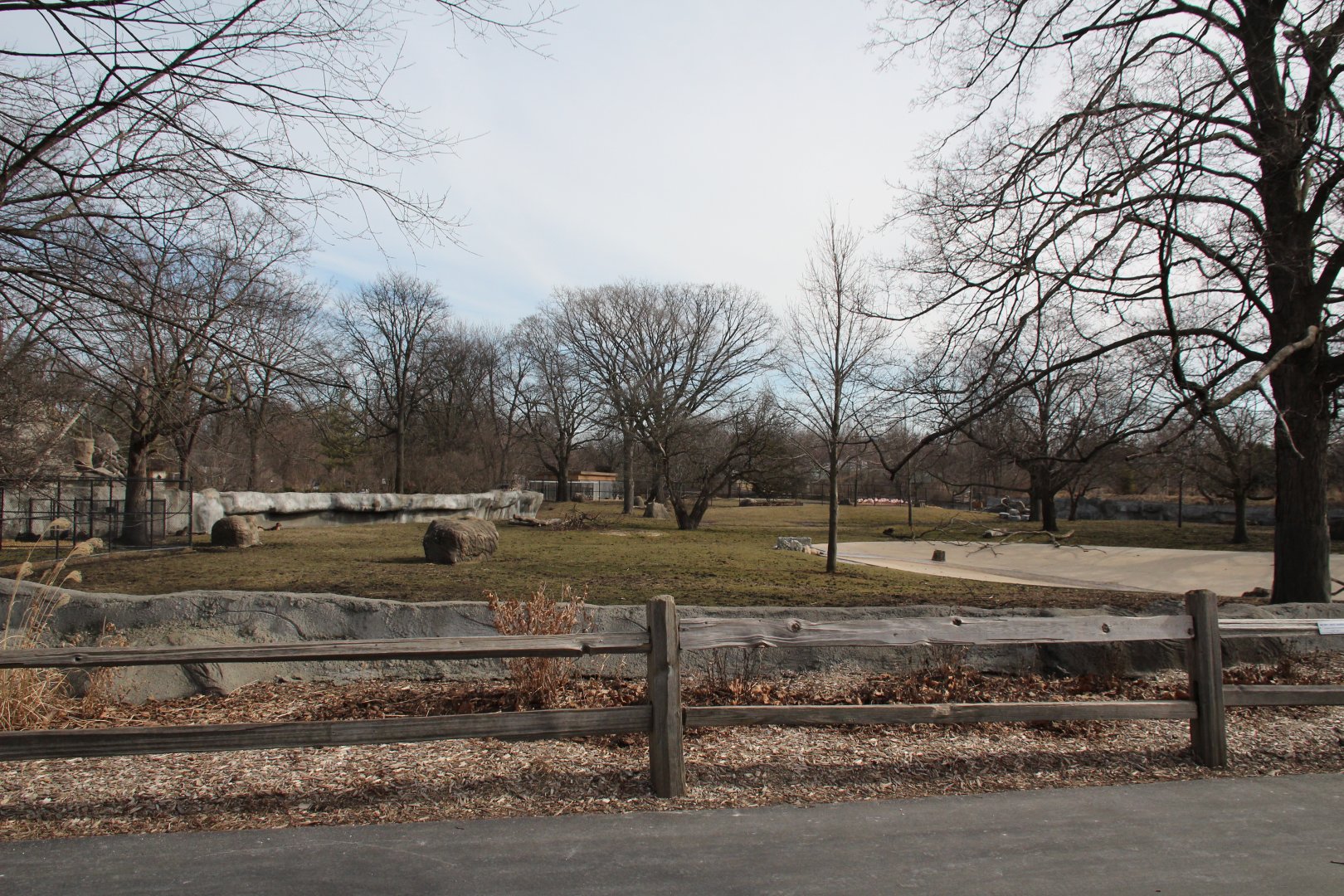 Detroit Zoo - African Grasslands
