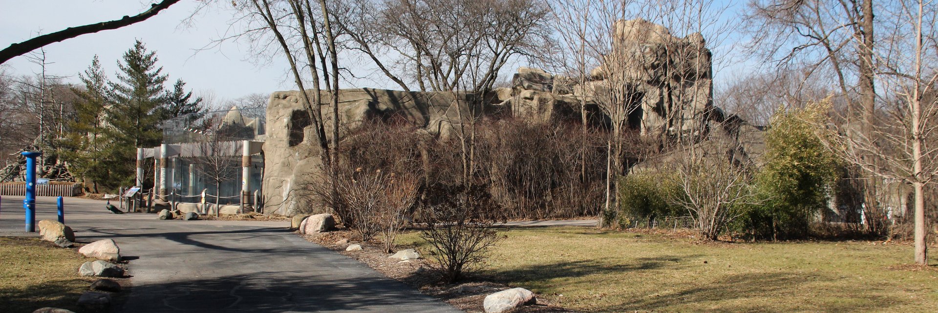 Detroit Zoo - African Lion exhibit
