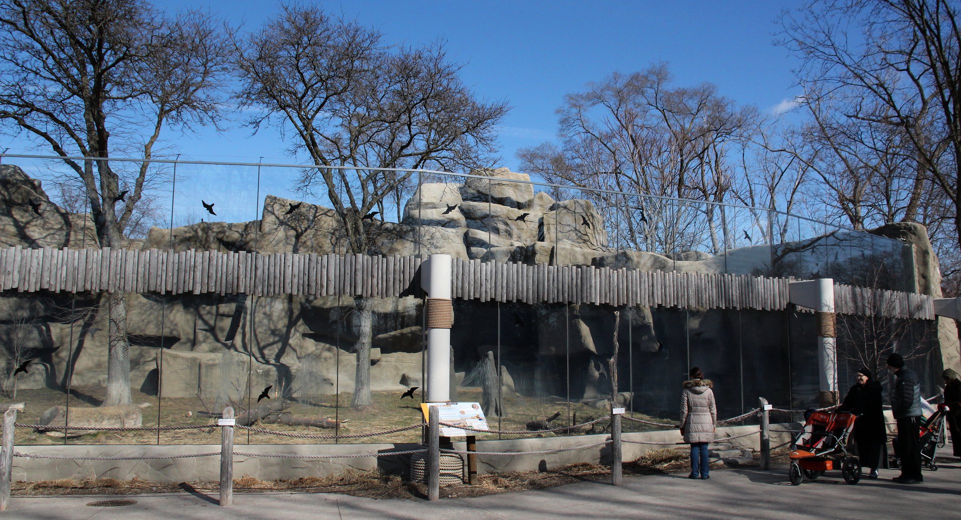 Detroit Zoo - African Lion exhibit