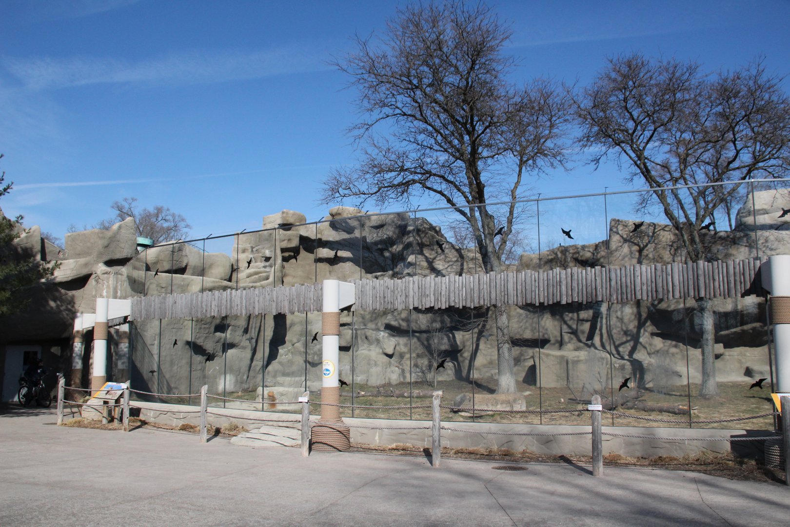 Detroit Zoo - African Lion exhibit