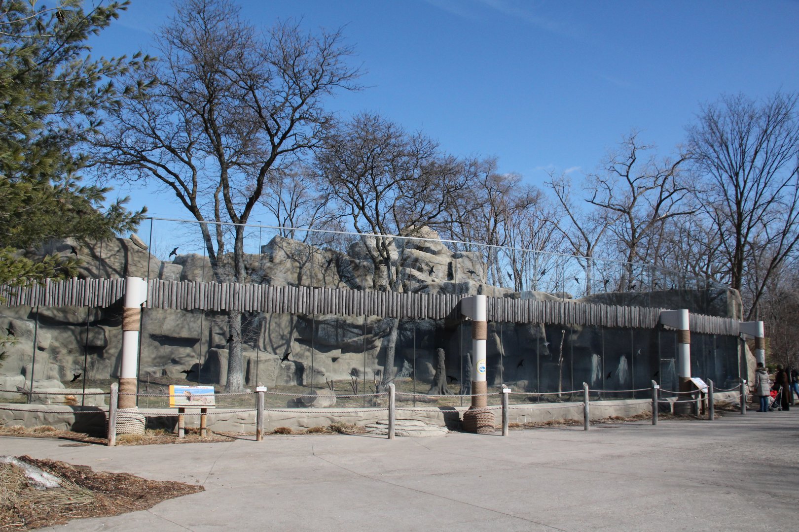Detroit Zoo - African Lion exhibit