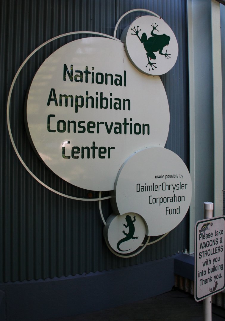 Detroit Zoo - Amphibianville - September, 2016