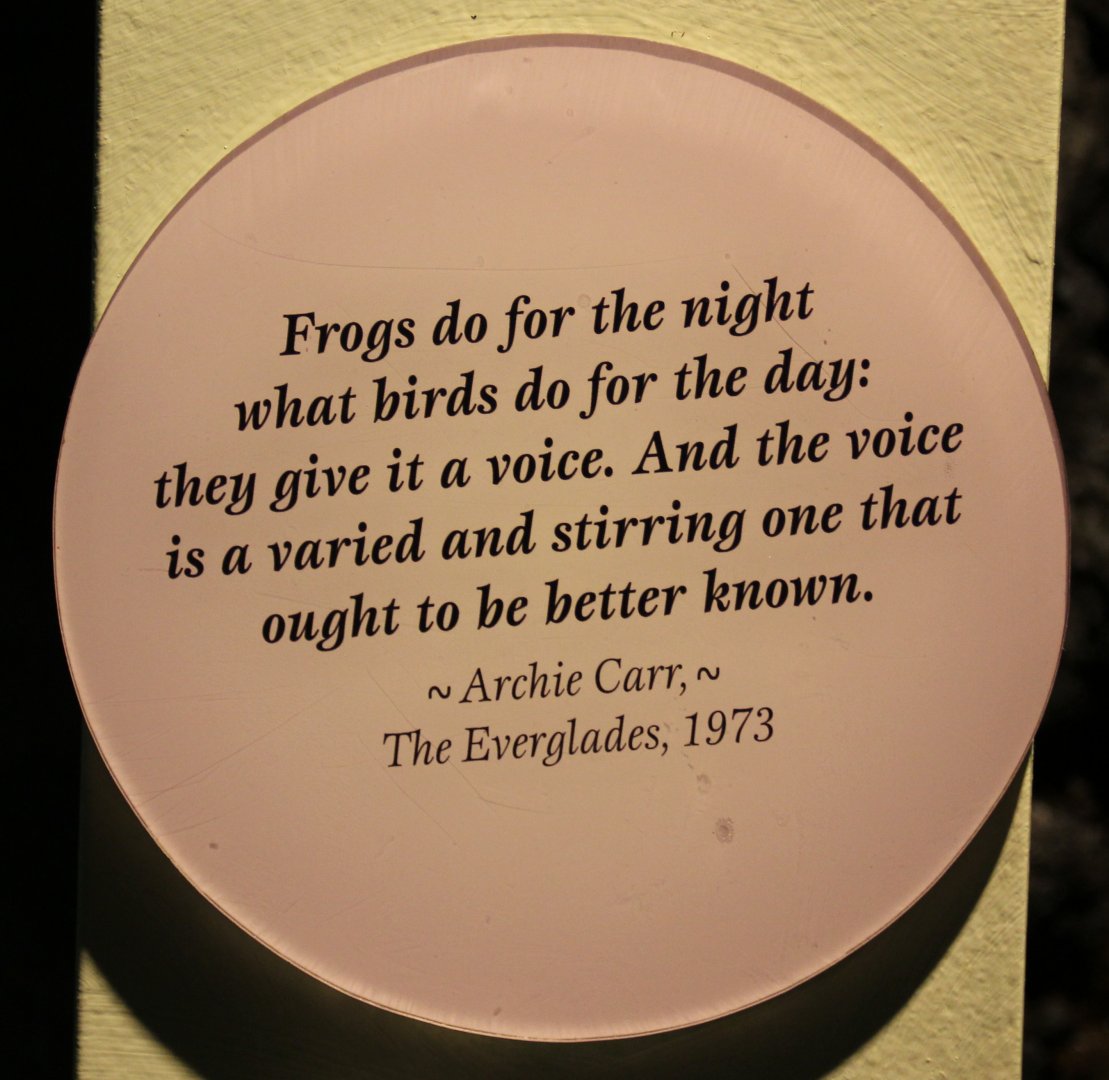 Detroit Zoo - Amphibianville - September, 2016