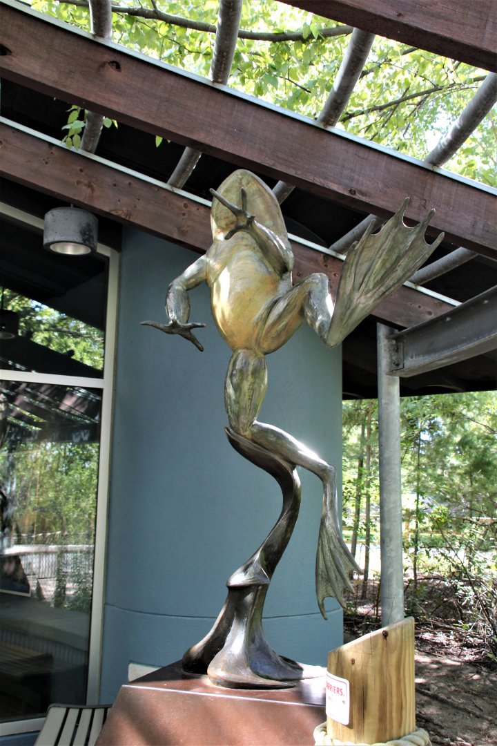 Detroit Zoo - Amphibianville - September, 2016