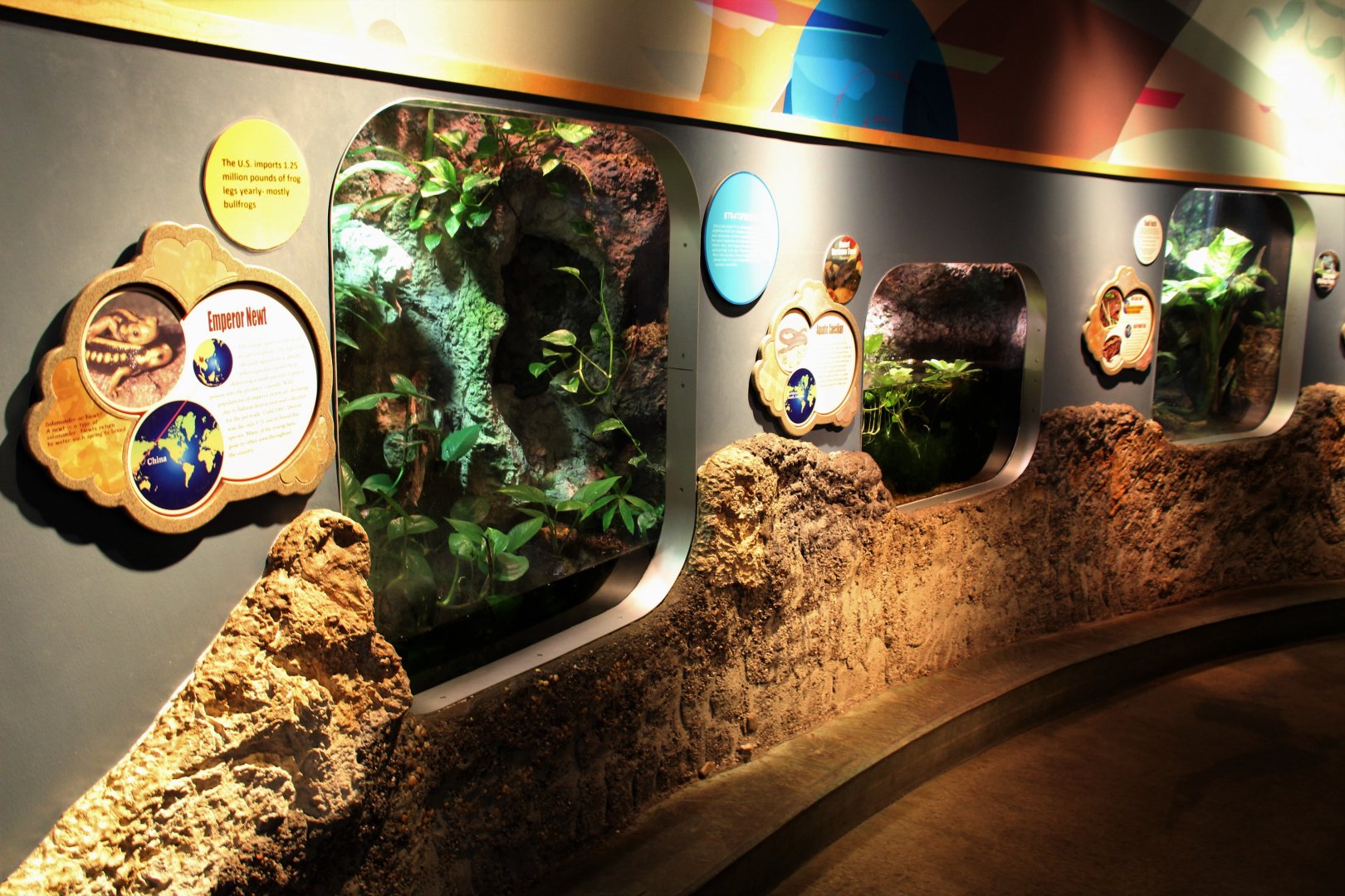 Detroit Zoo - Amphibianville - Summer, 2016