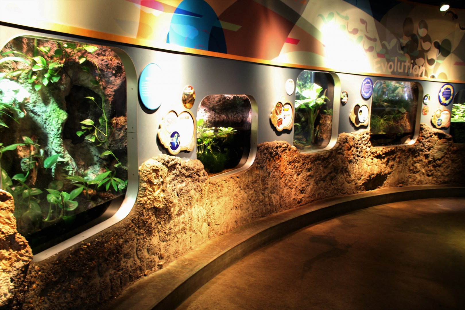 Detroit Zoo - Amphibianville - Summer, 2016