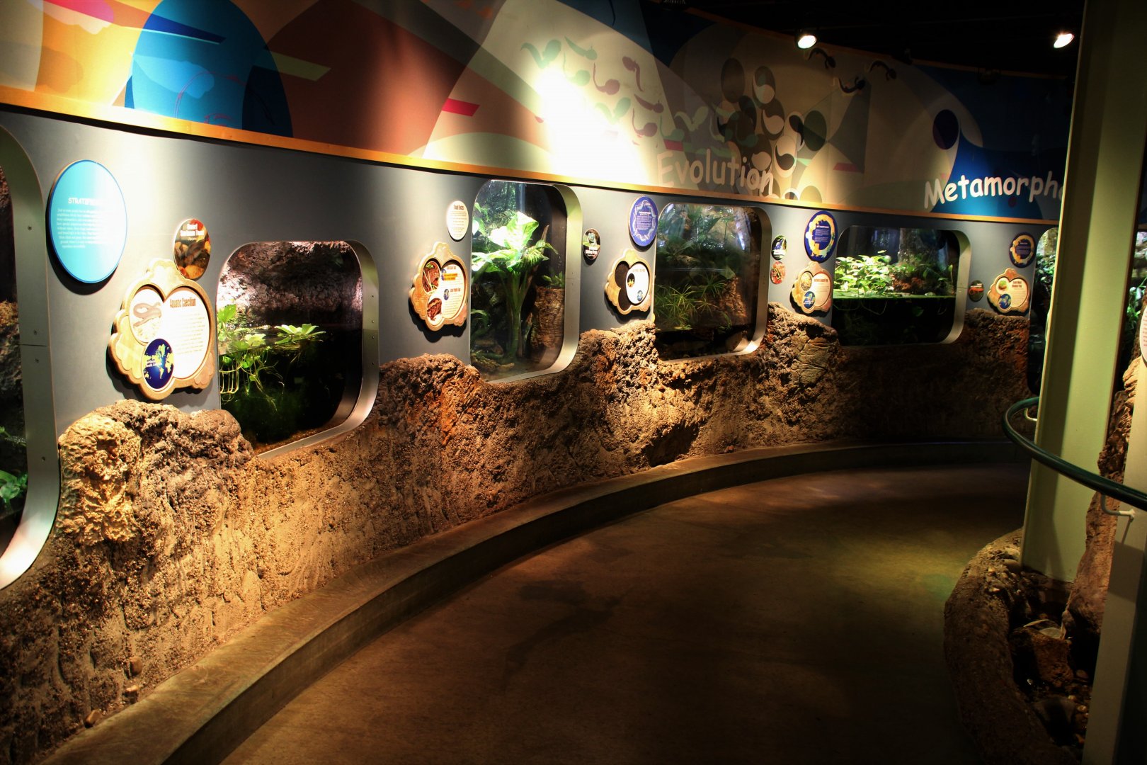 Detroit Zoo - Amphibianville - Summer, 2016