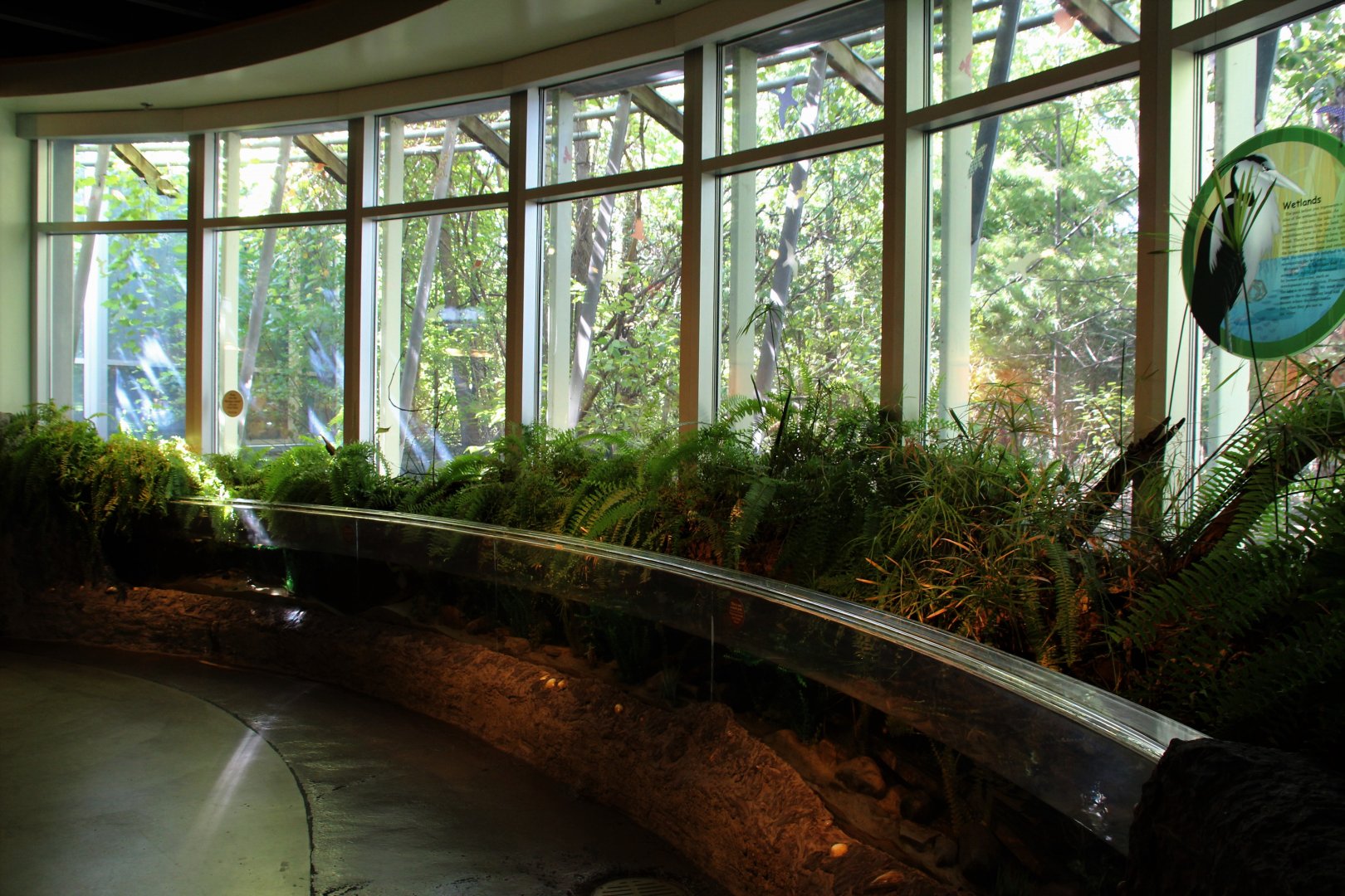 Detroit Zoo - Amphibianville - Summer, 2016