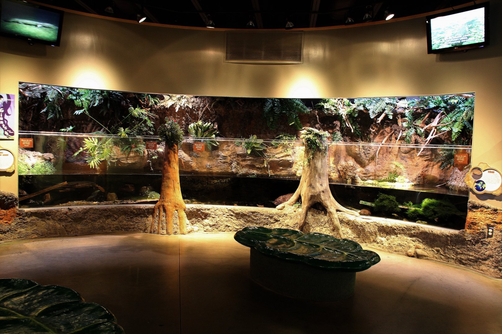 Detroit Zoo - Amphibianville - Summer, 2016