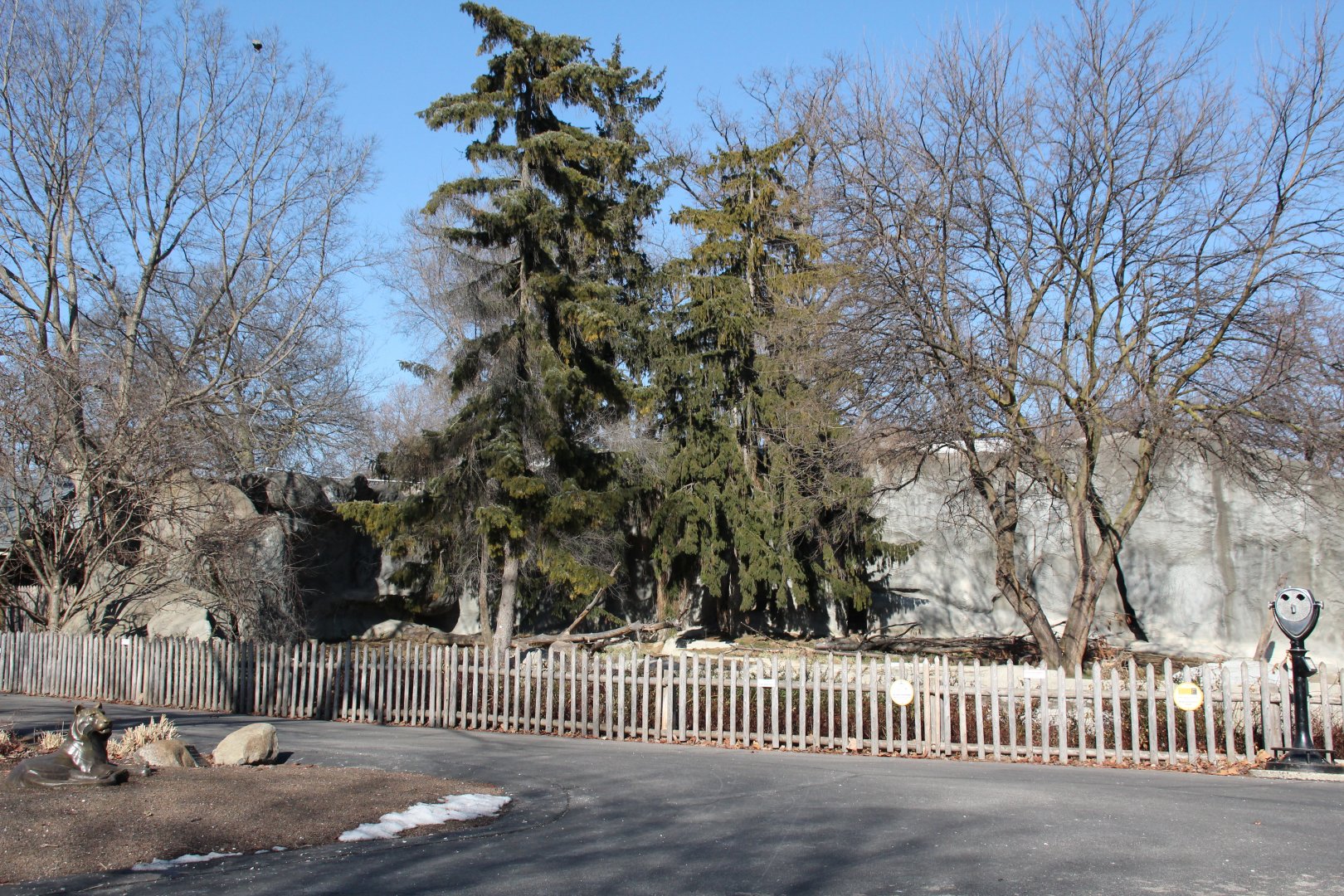 Detroit Zoo - Amur Tiger exhibit