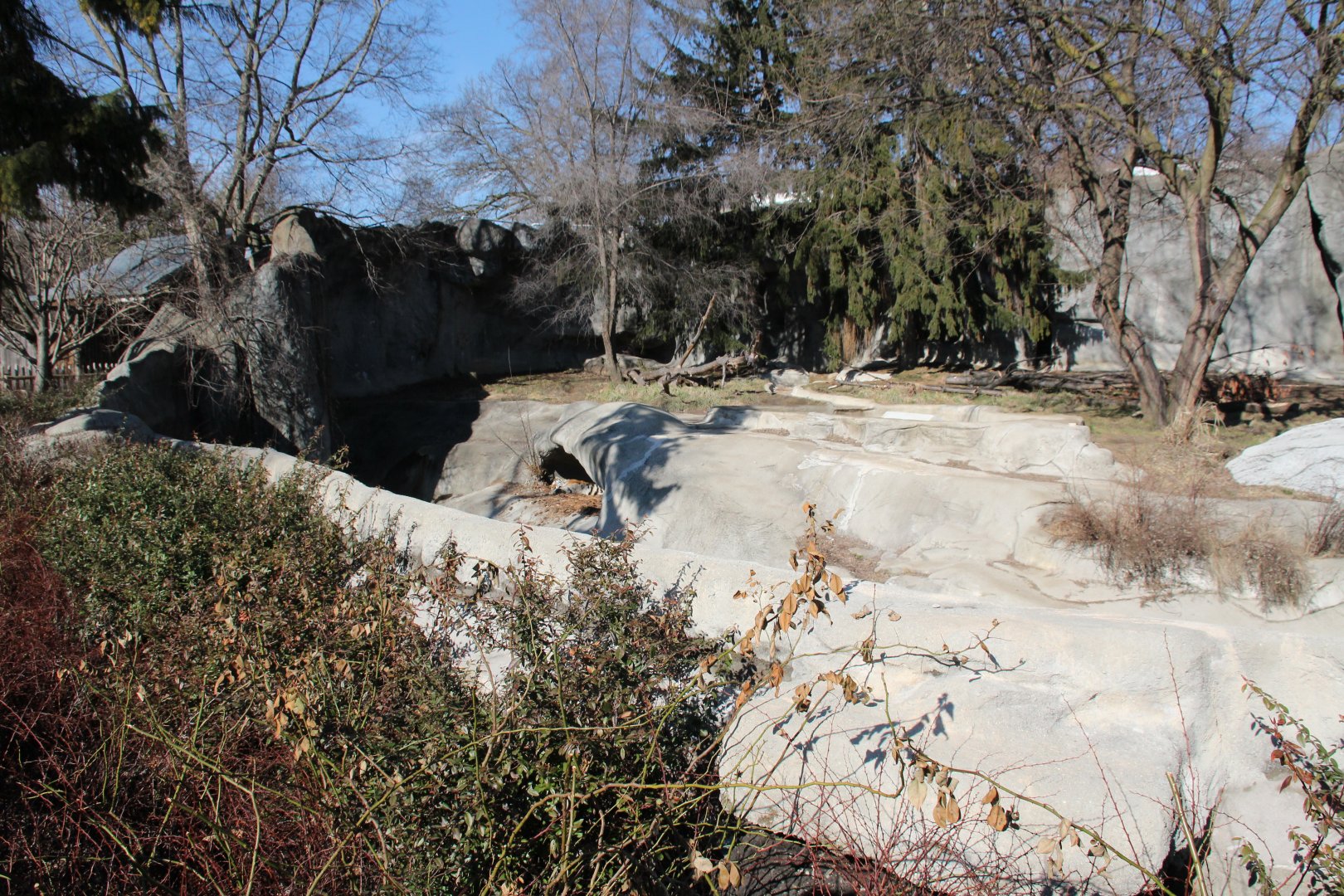Detroit Zoo - Amur Tiger exhibit