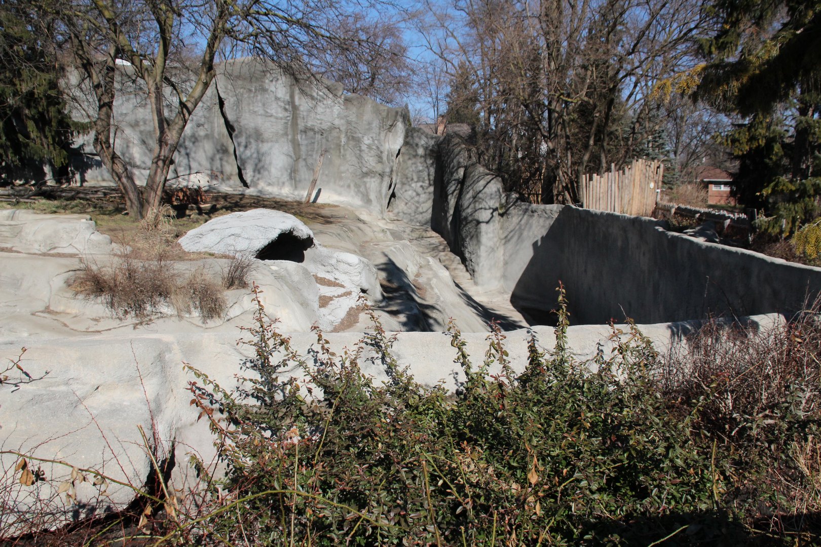Detroit Zoo - Amur Tiger exhibit
