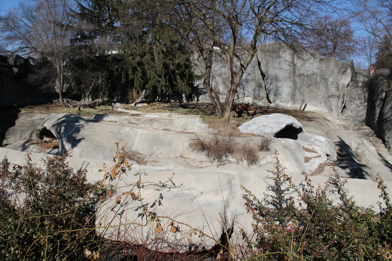 Detroit Zoo - Amur Tiger exhibit