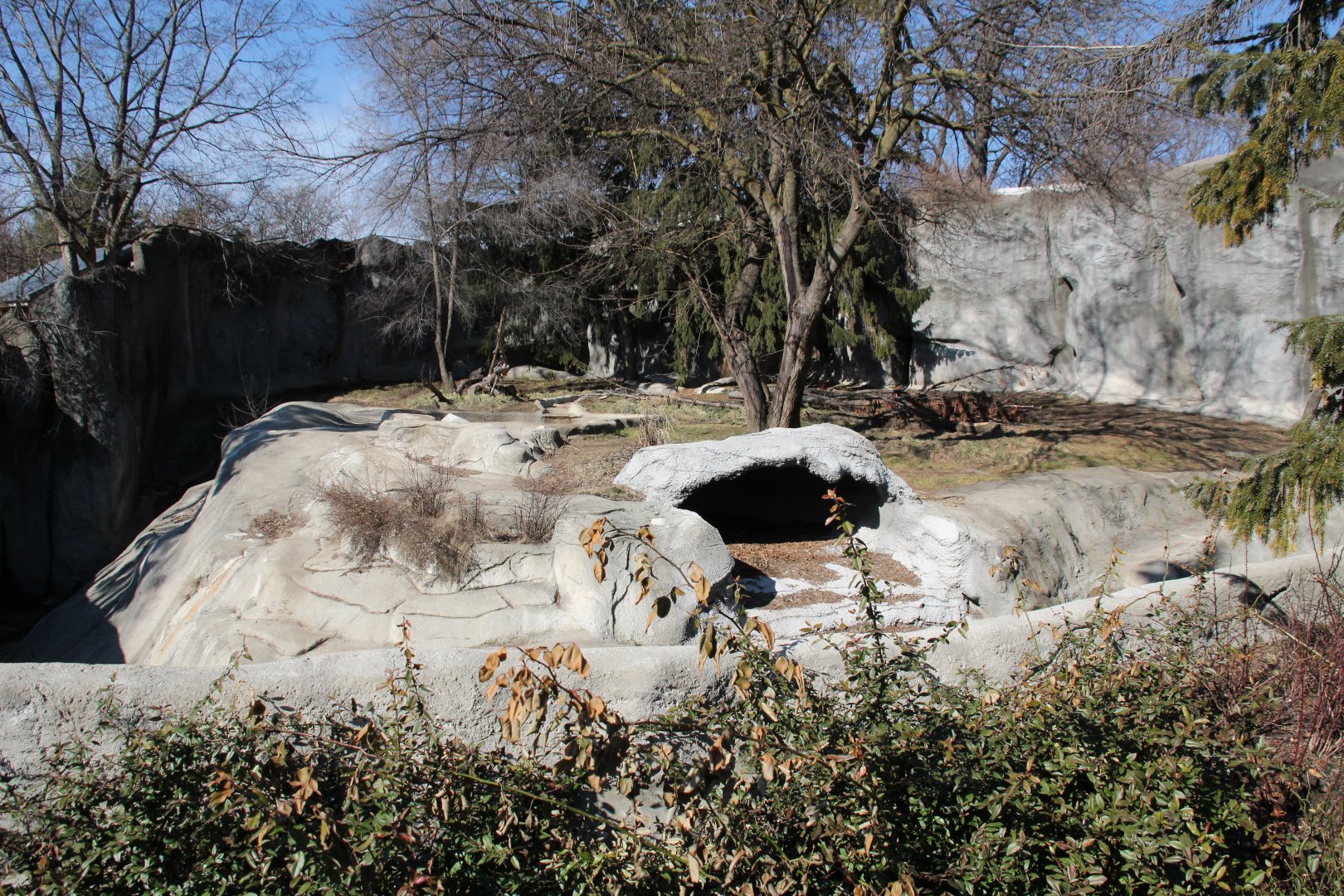 Detroit Zoo - Amur Tiger exhibit