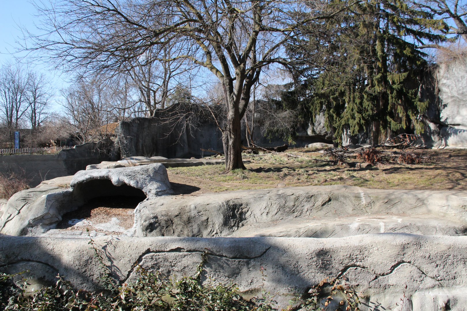 Detroit Zoo - Amur Tiger exhibit