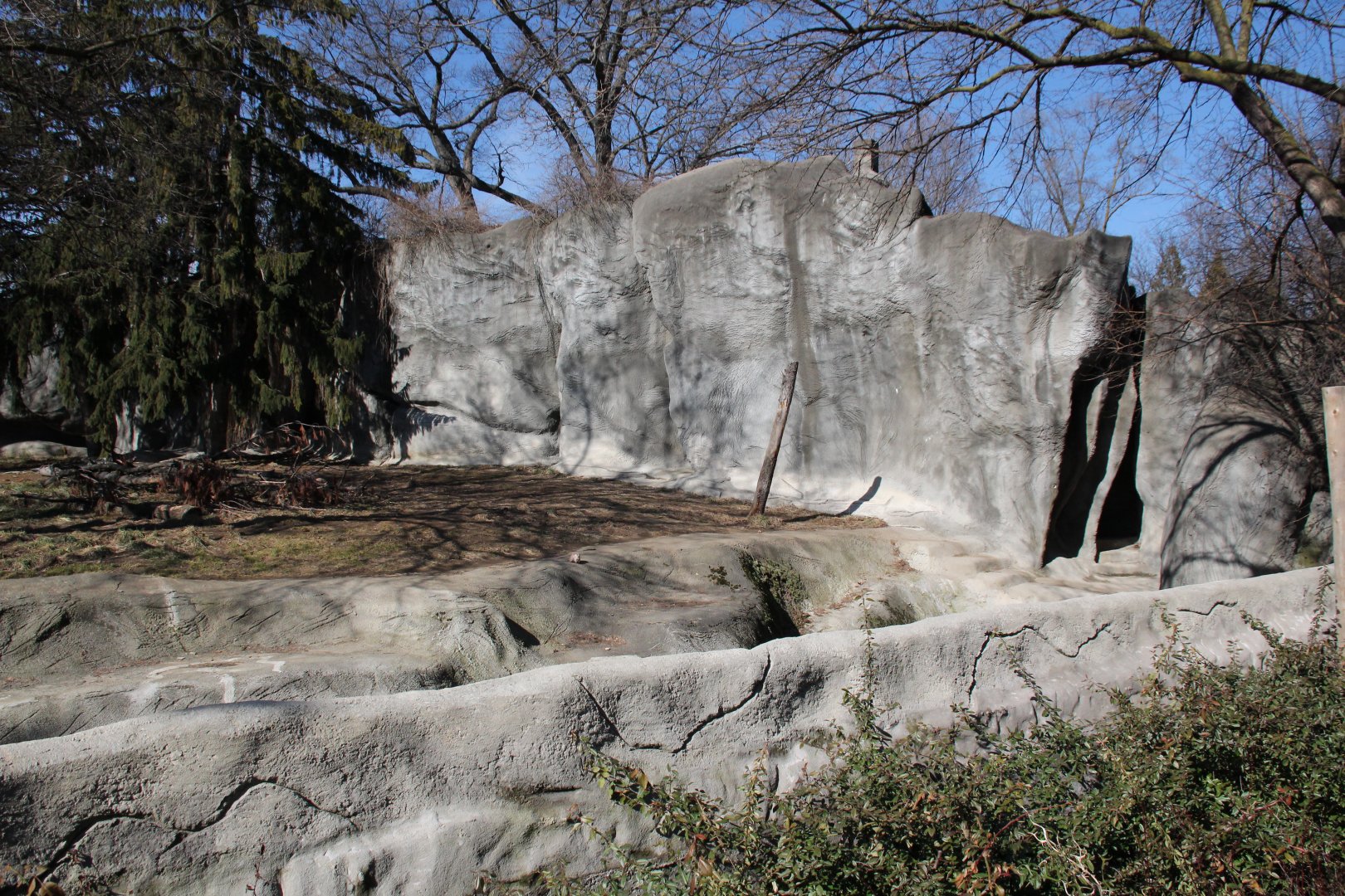 Detroit Zoo - Amur Tiger exhibit