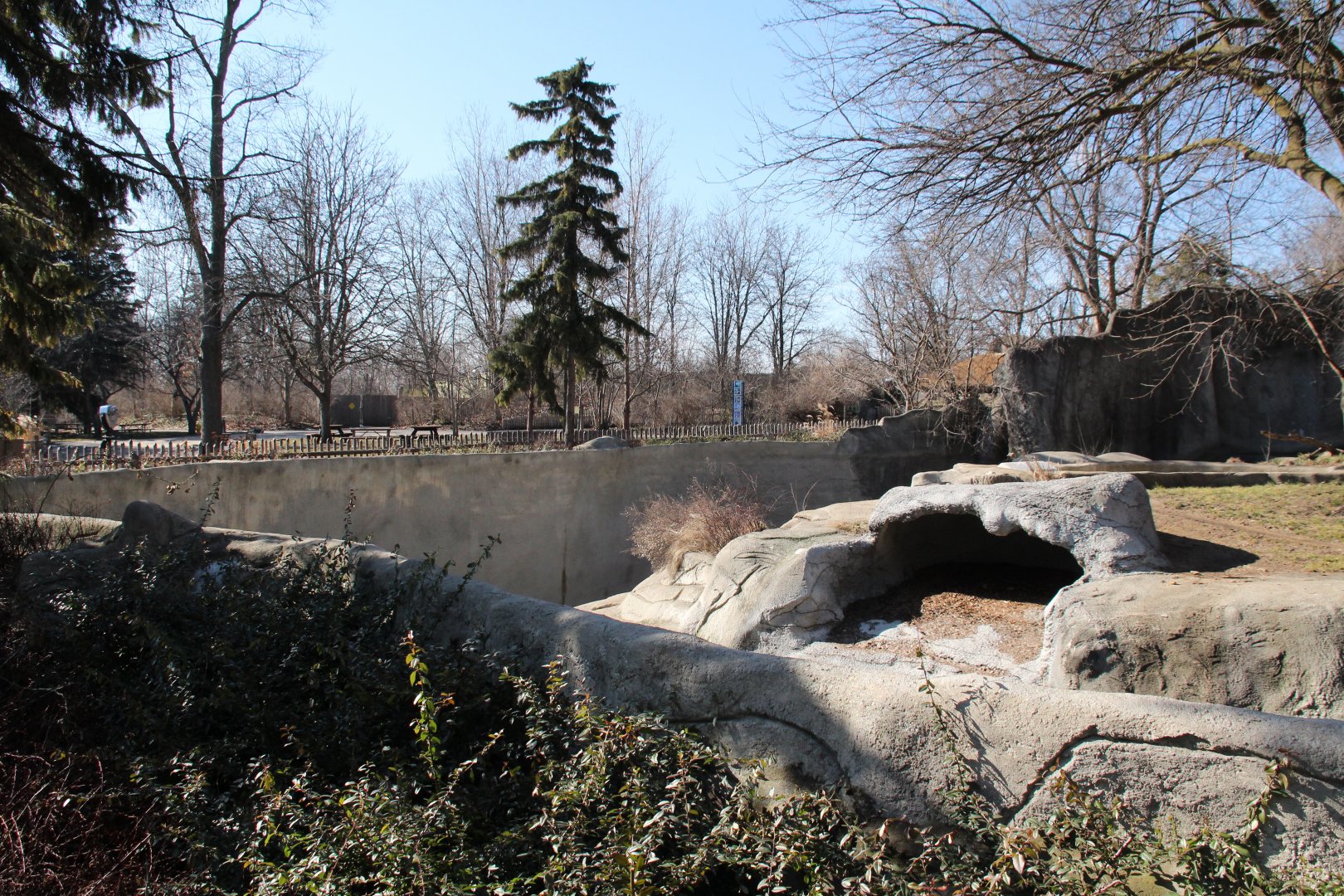 Detroit Zoo - Amur Tiger exhibit