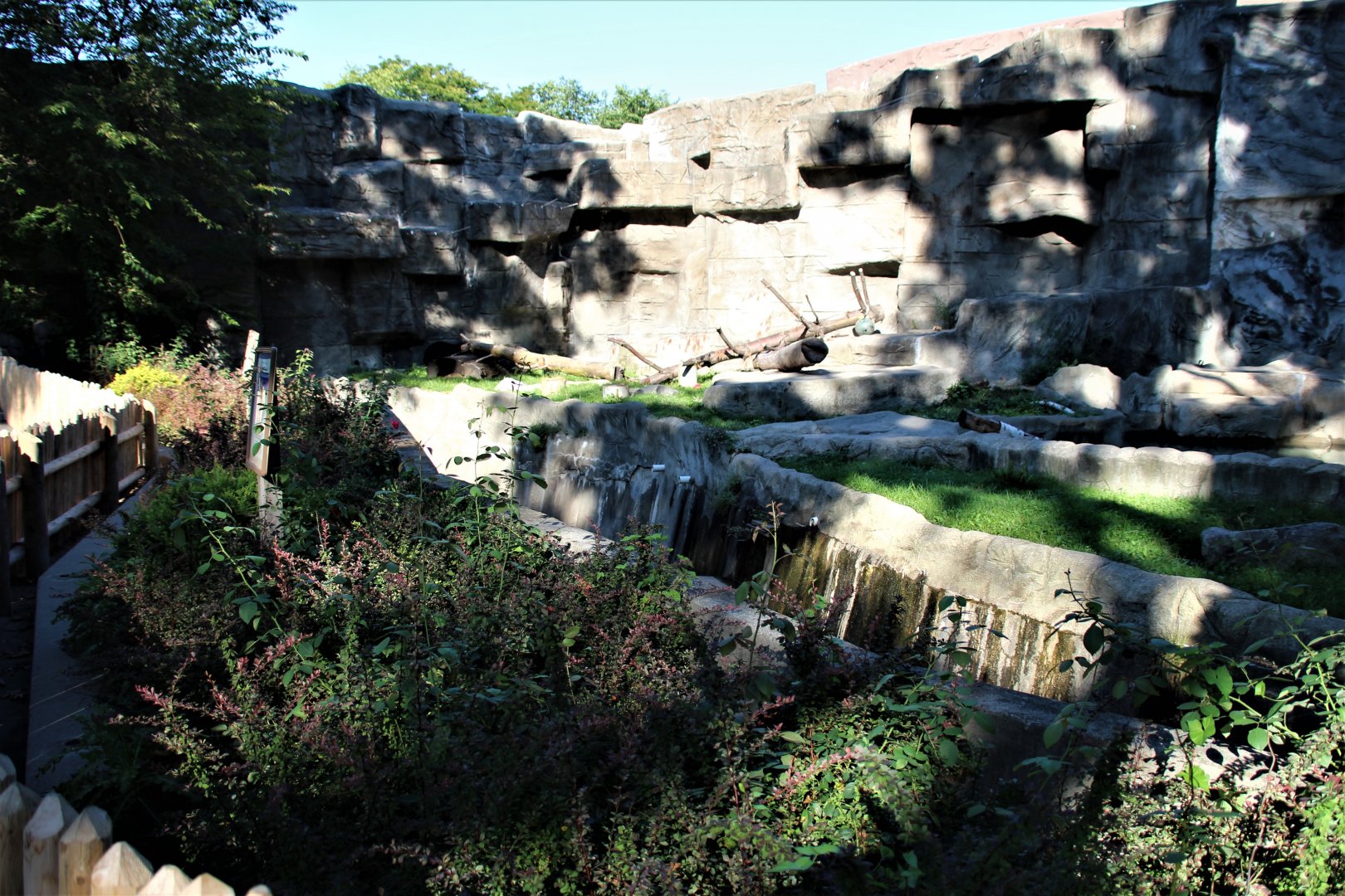 Detroit Zoo - Another bear den - September, 2016