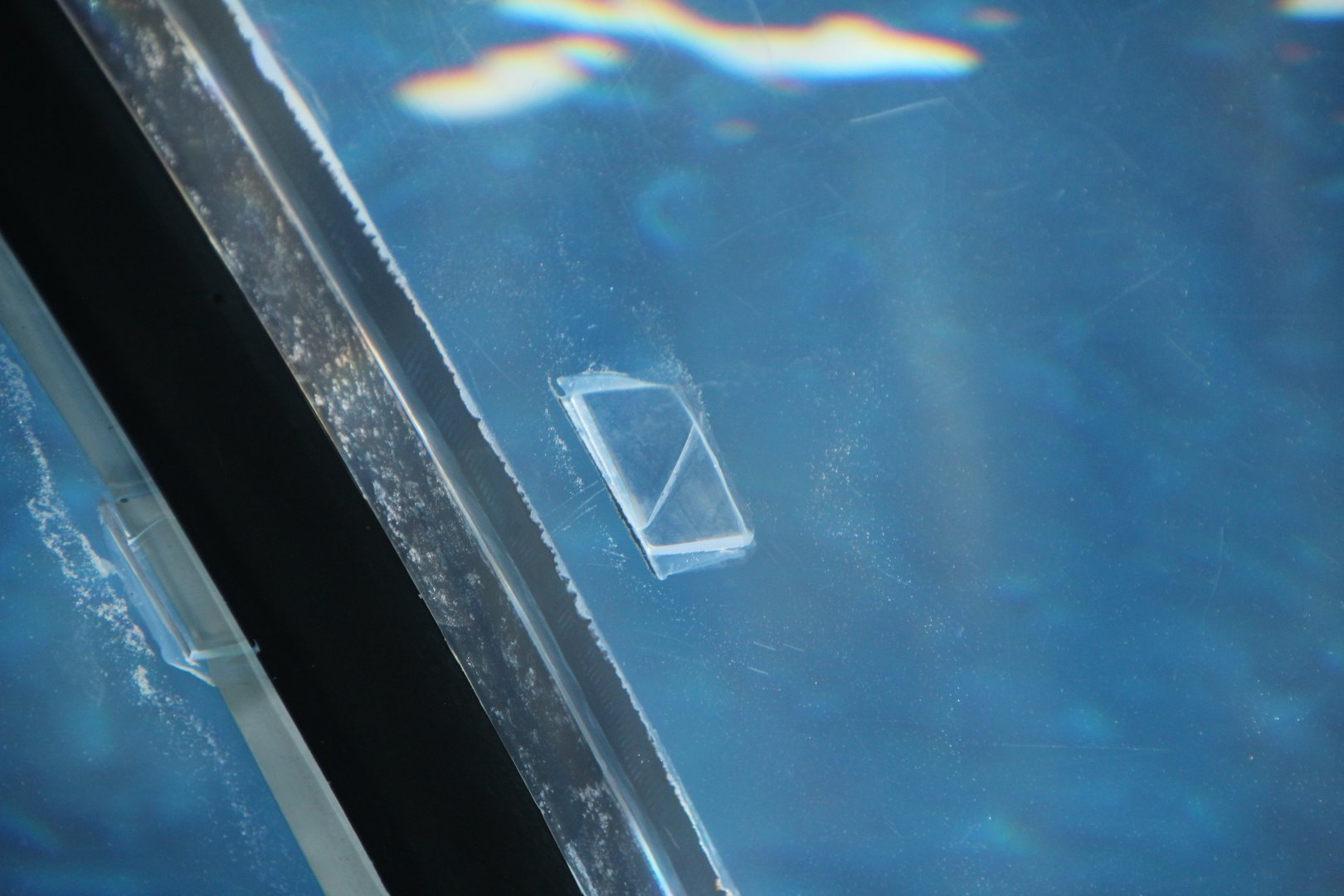 Detroit Zoo - Arctic Ring of Life Polar Passage plexiglass - October, 2016