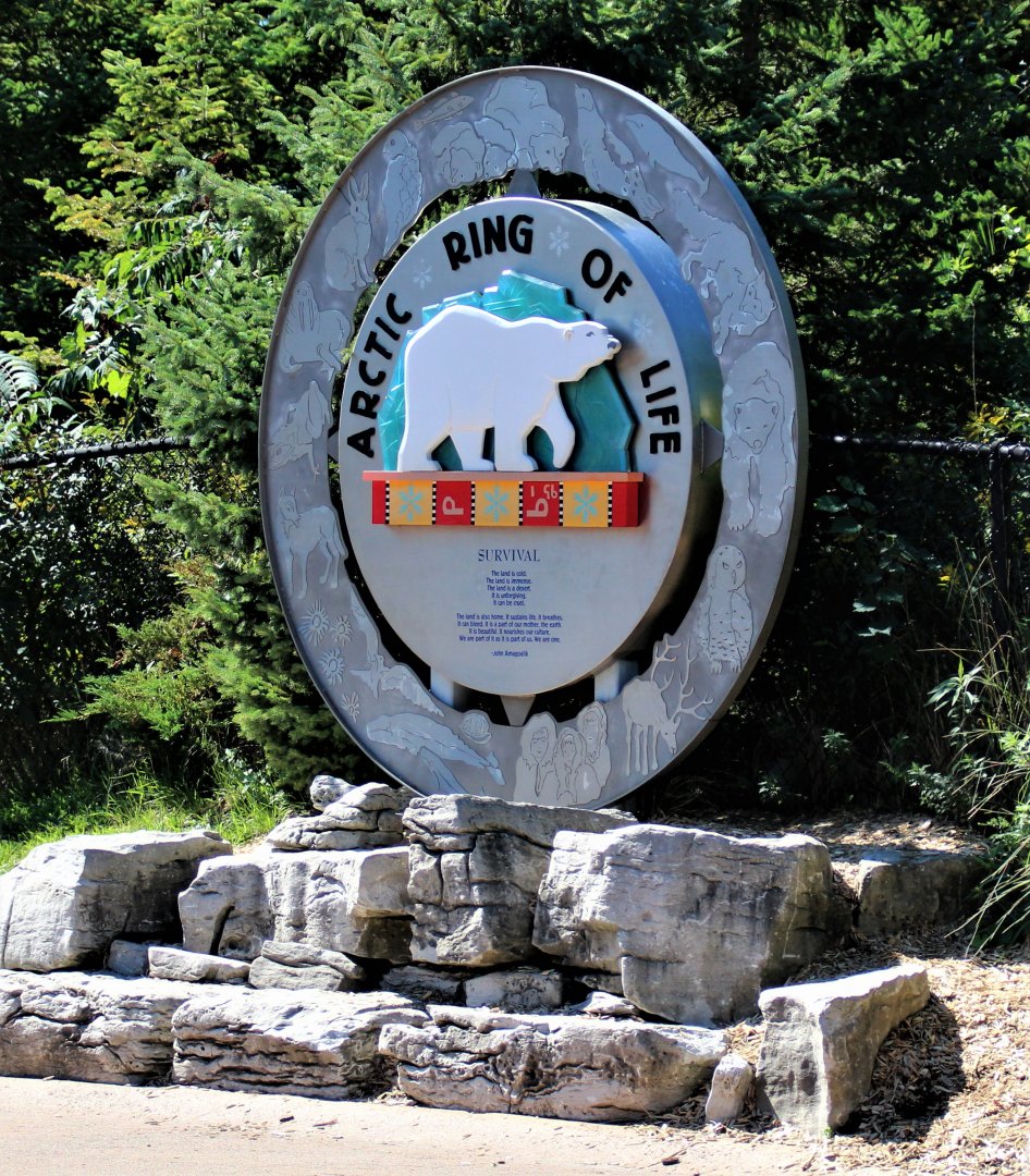 Detroit Zoo - Arctic Ring of Life- Summer/Fall, 2016