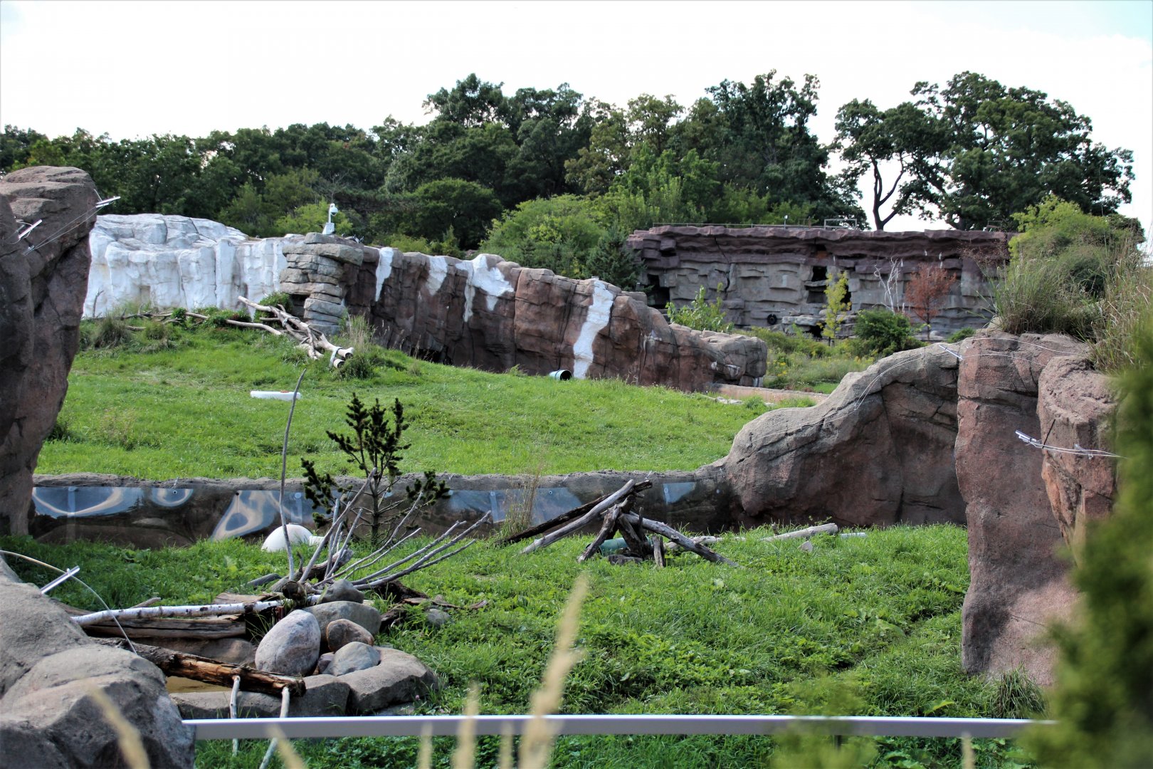 Detroit Zoo - Arctic Ring of Life- Summer/Fall, 2016
