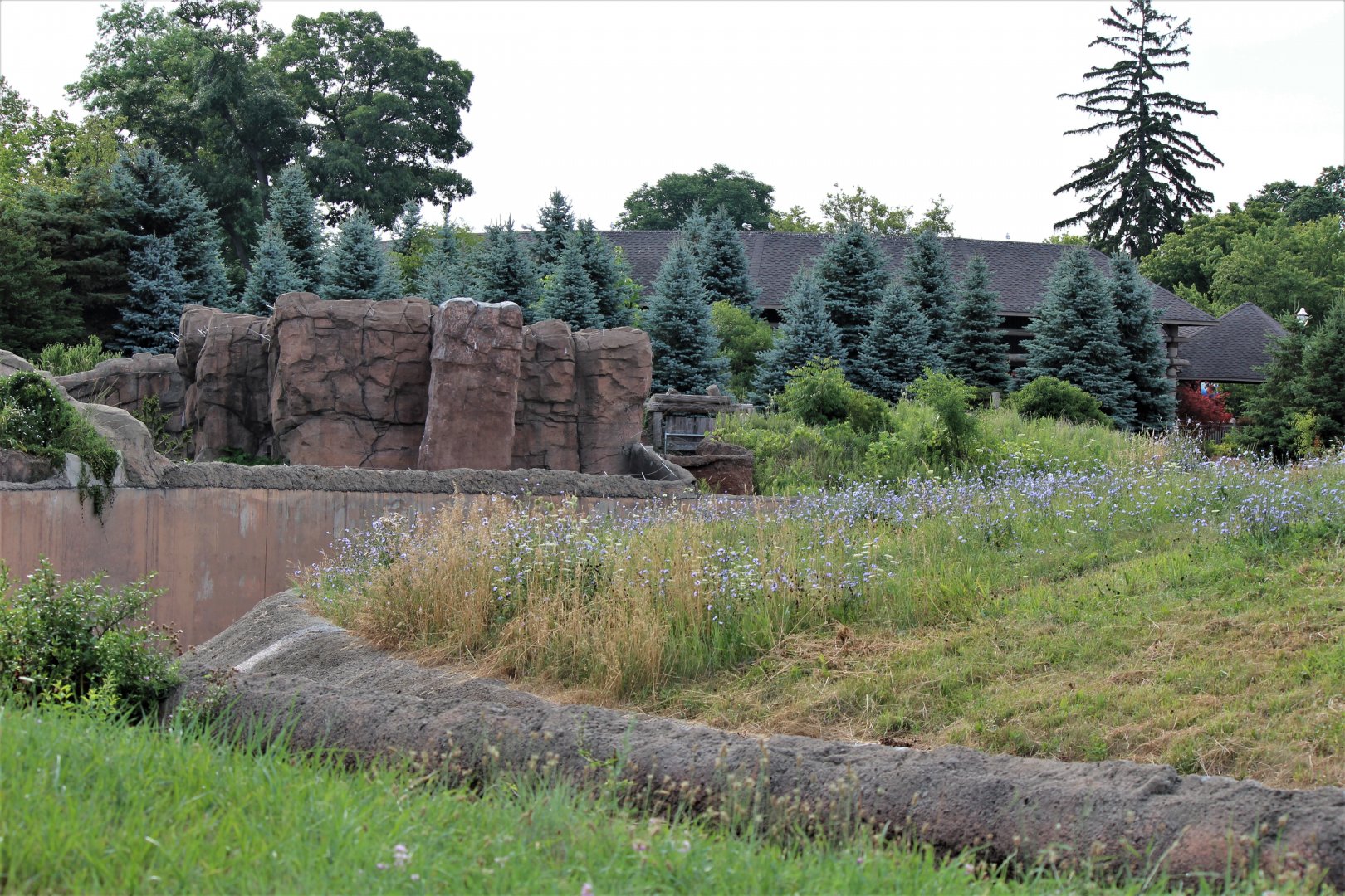 Detroit Zoo - Arctic Ring of Life- Summer/Fall, 2016