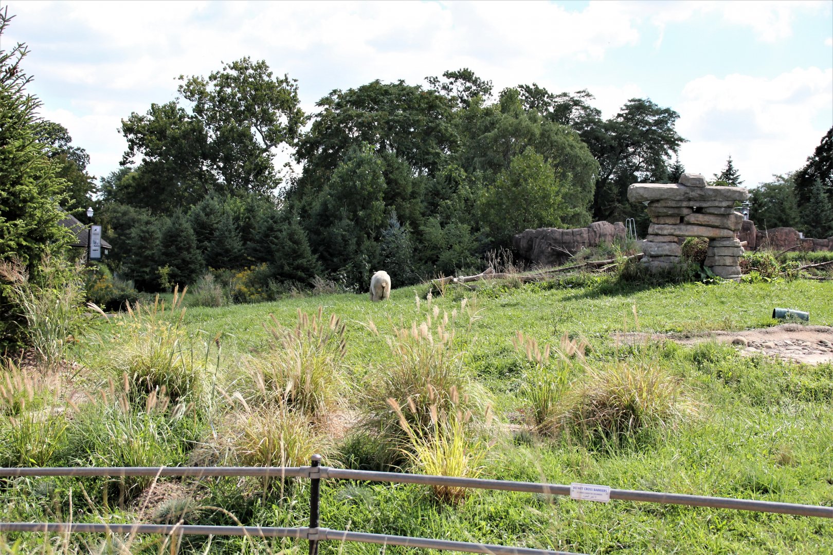 Detroit Zoo - Arctic Ring of Life- Summer/Fall, 2016