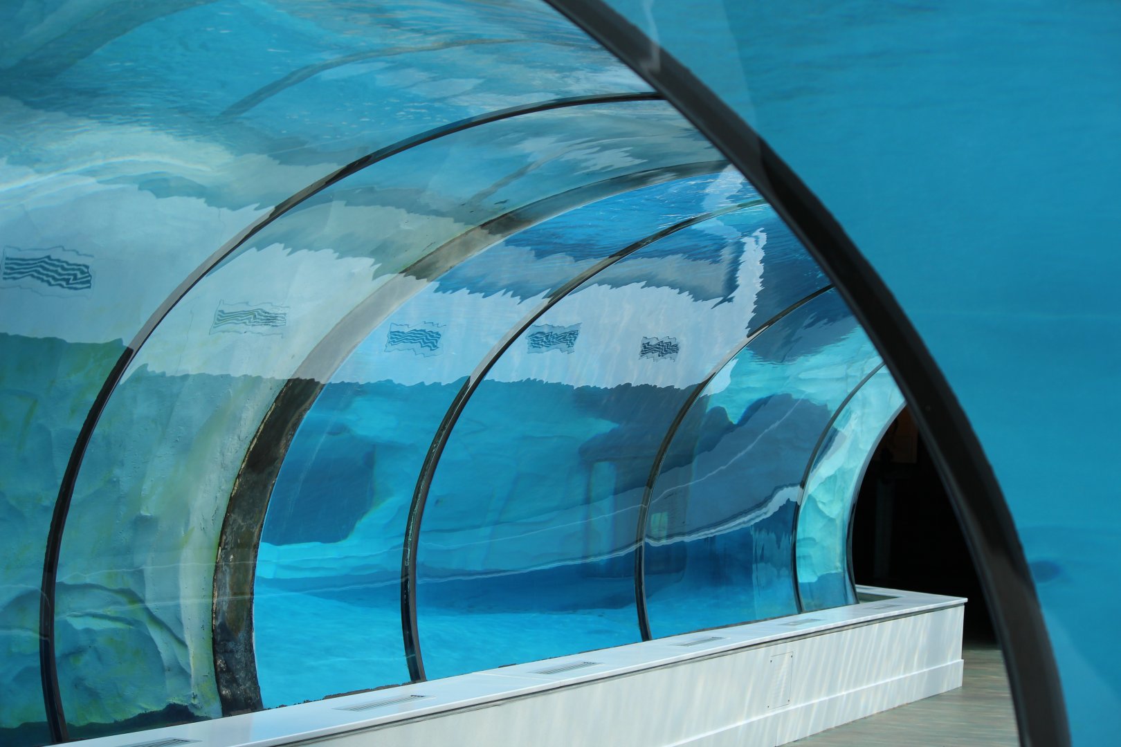 Detroit Zoo - Arctic Ring of Life- Summer/Fall, 2016