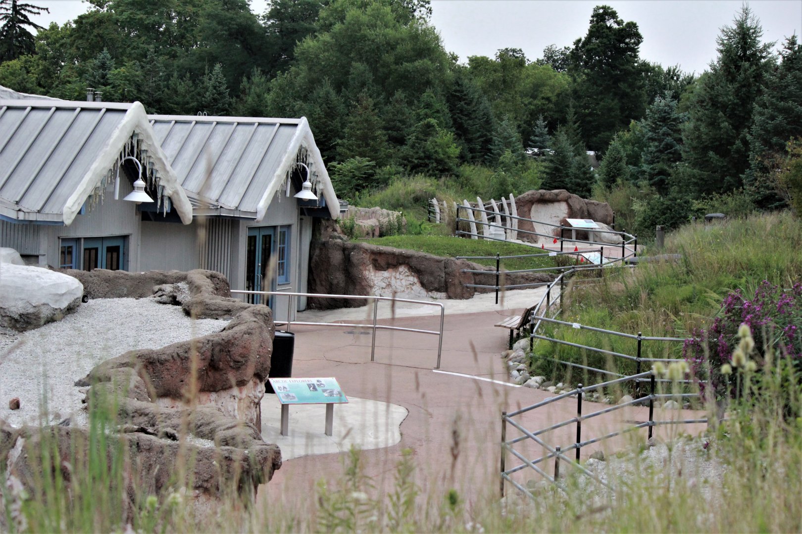 Detroit Zoo - Arctic Ring of Life- Summer/Fall, 2016