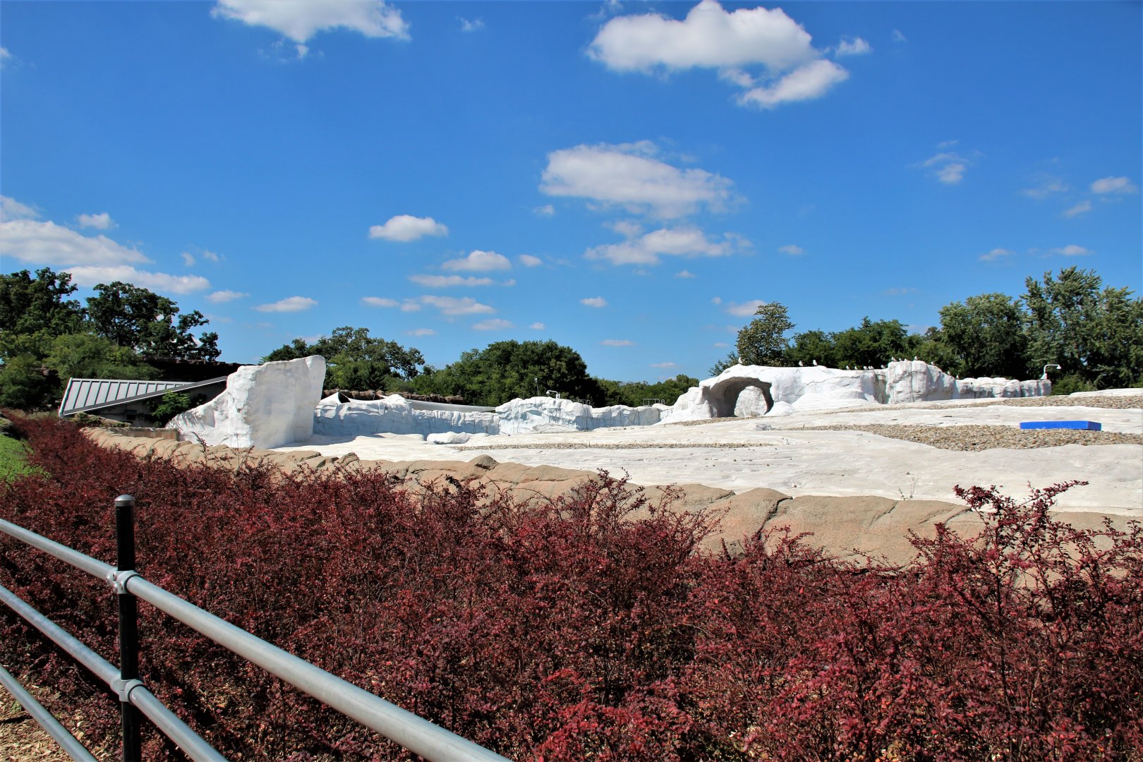Detroit Zoo - Arctic Ring of Life- Summer/Fall, 2016