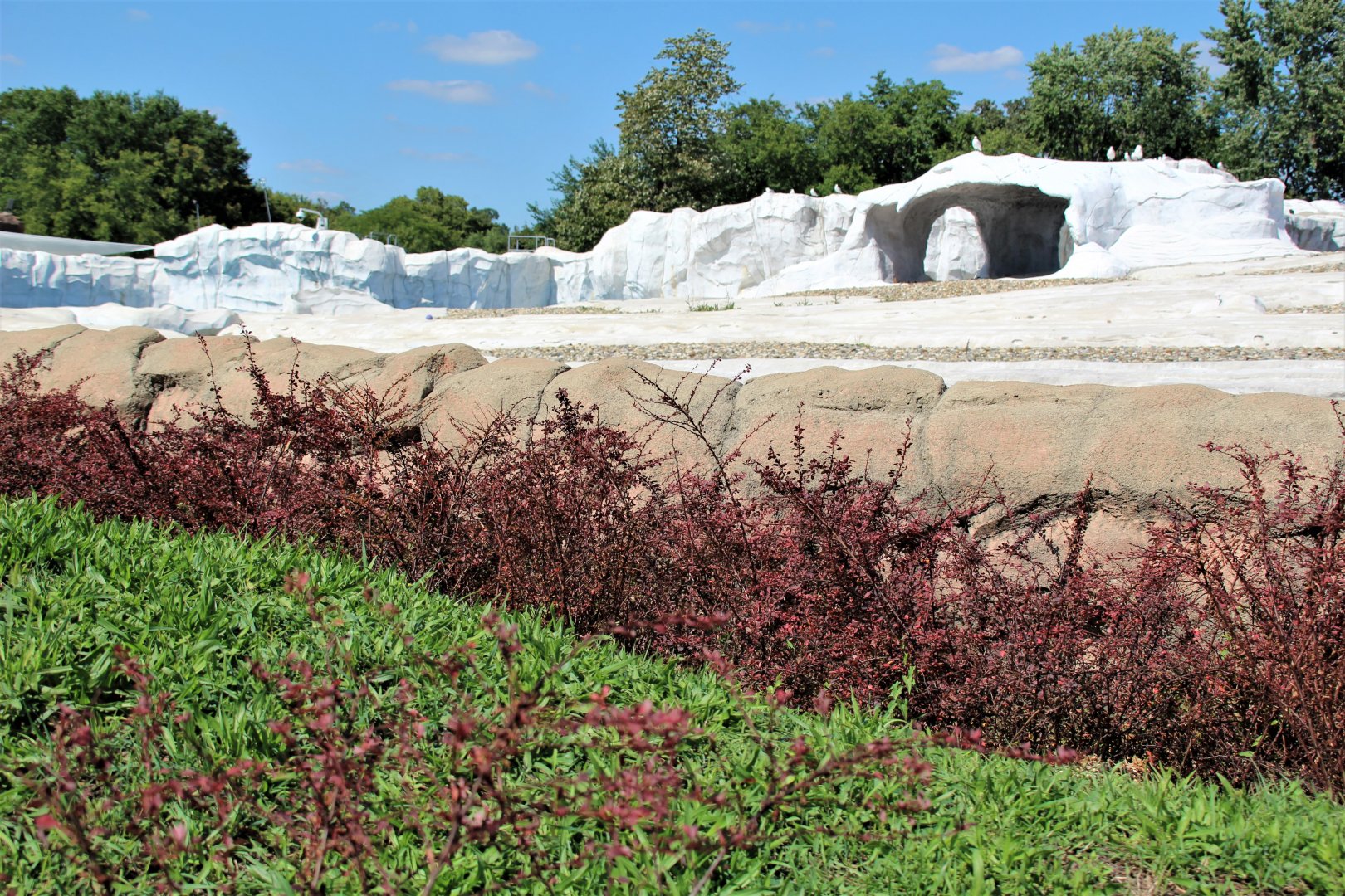 Detroit Zoo - Arctic Ring of Life- Summer/Fall, 2016