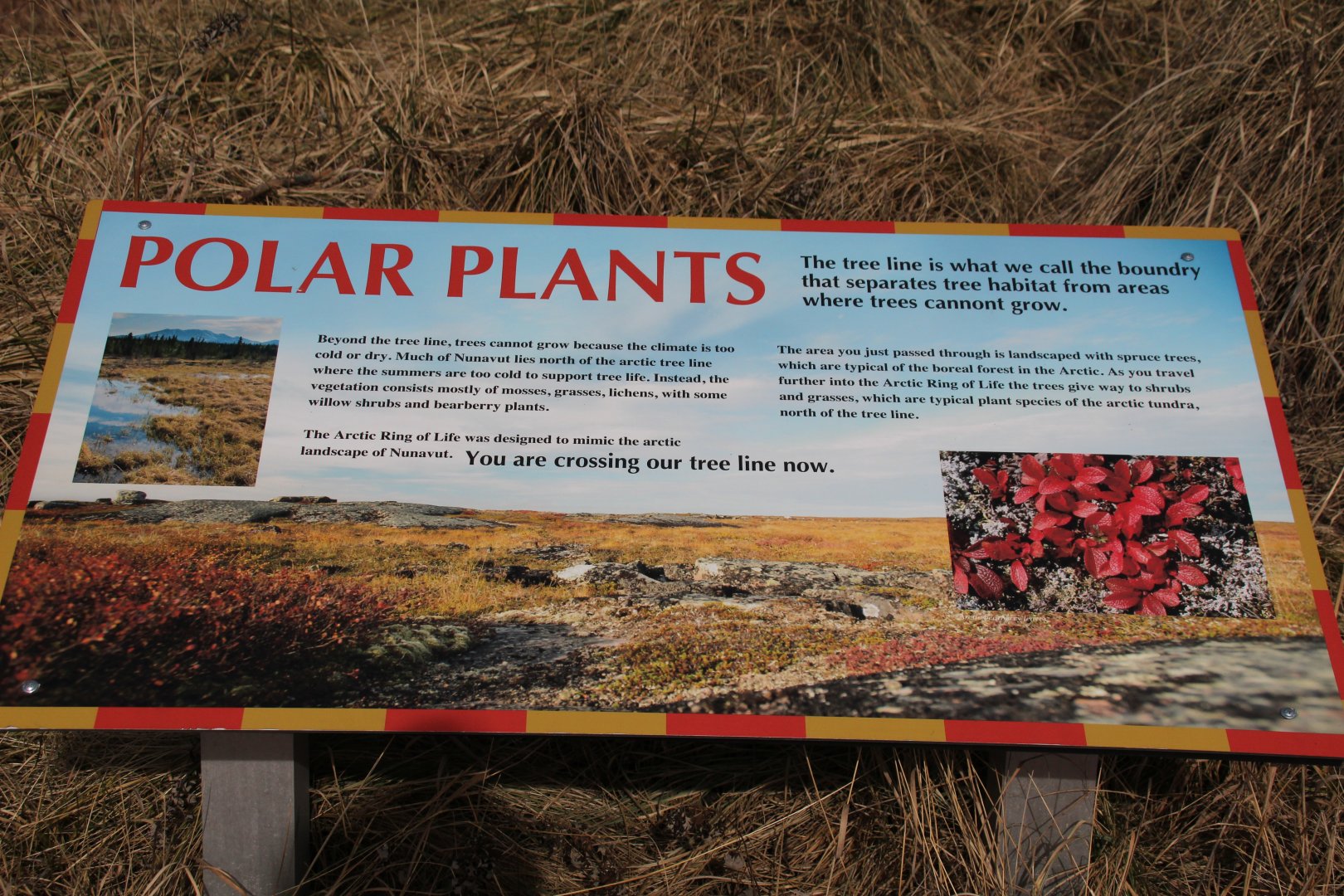 Detroit Zoo - Arctic Ring of Life