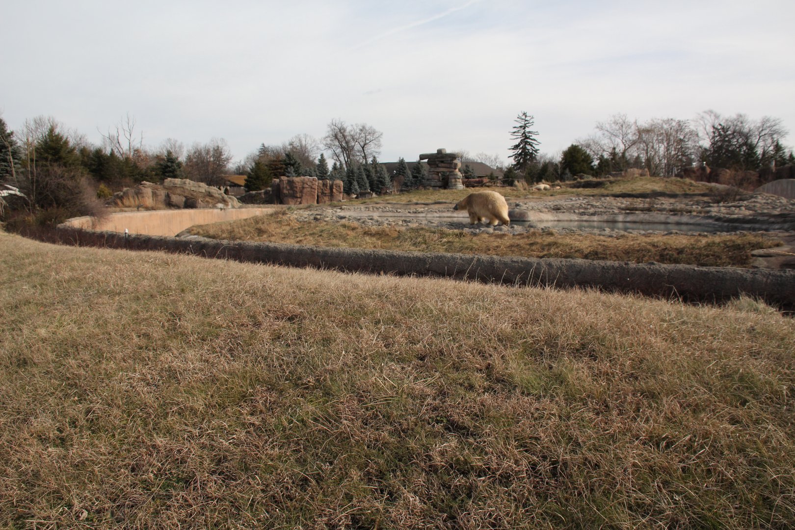 Detroit Zoo - Arctic Ring of Life
