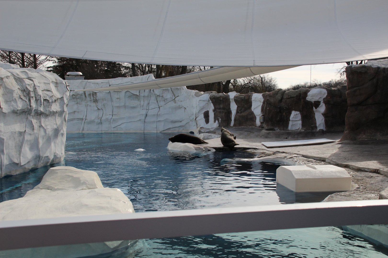 Detroit Zoo - Arctic Ring of Life