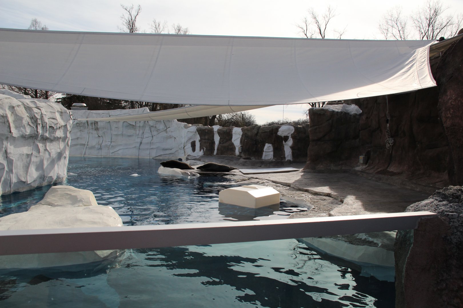 Detroit Zoo - Arctic Ring of Life