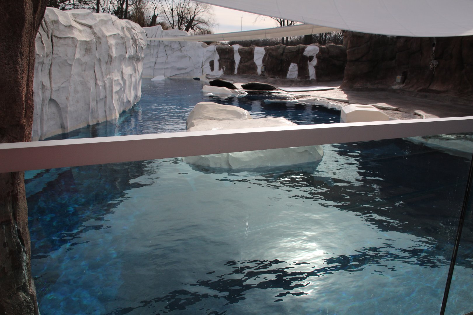 Detroit Zoo - Arctic Ring of Life