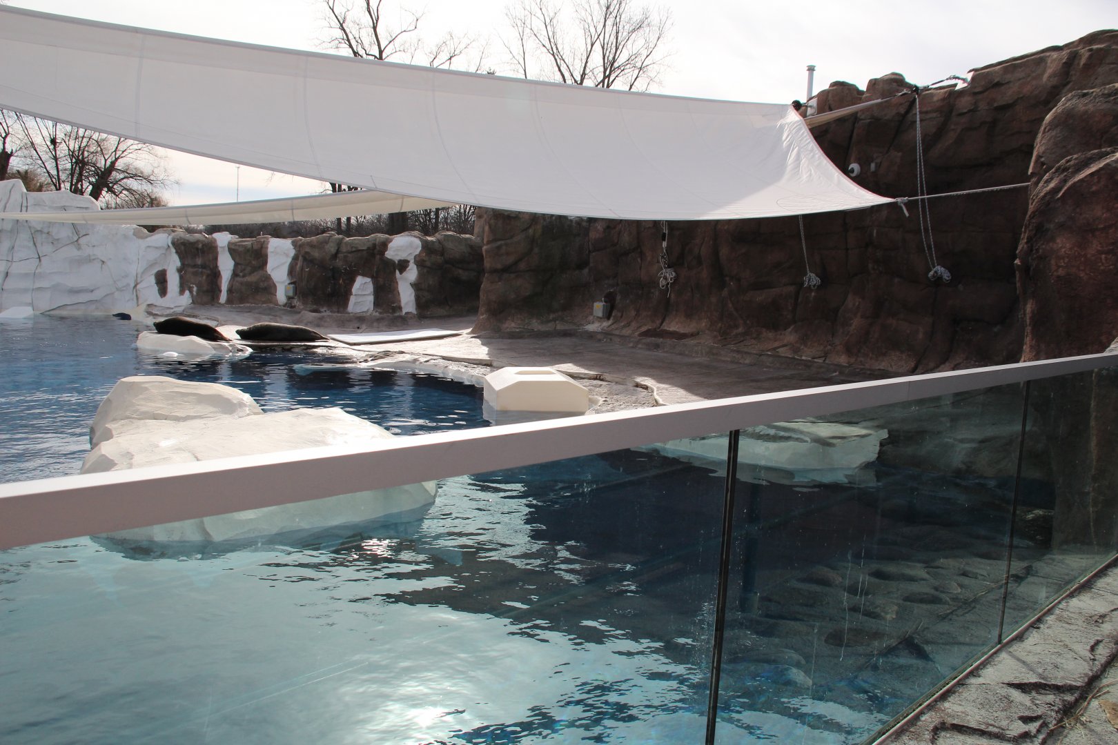 Detroit Zoo - Arctic Ring of Life