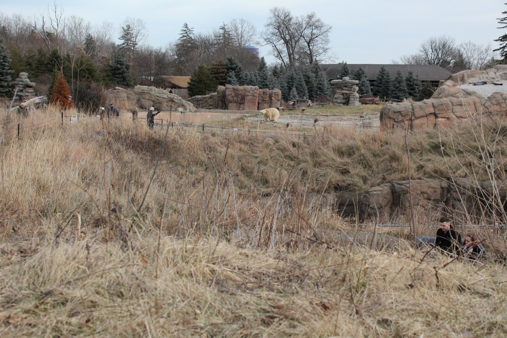 Detroit Zoo - Arctic Ring of Life