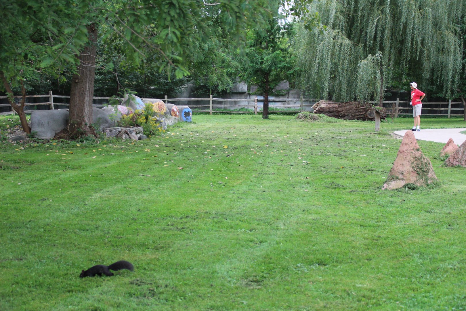Detroit Zoo - Australian Outback Adventure enclosure - October, 2016