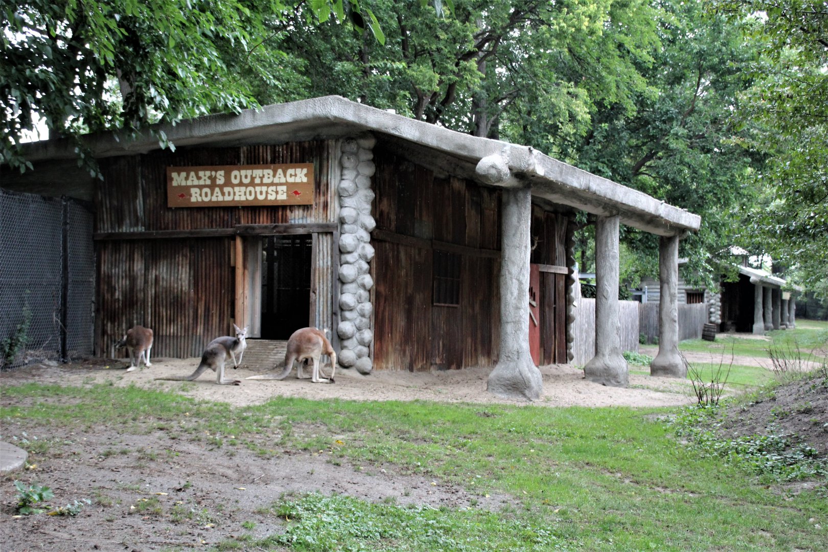 Detroit Zoo - Australian Outback Adventure - Summer, 2016