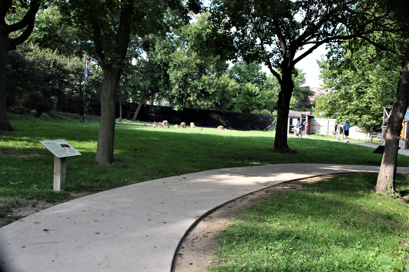 Detroit Zoo - Australian Outback Adventure - Summer, 2016