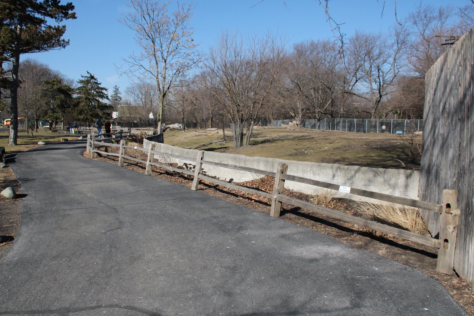 Detroit Zoo - Bactrian Camel exhibit